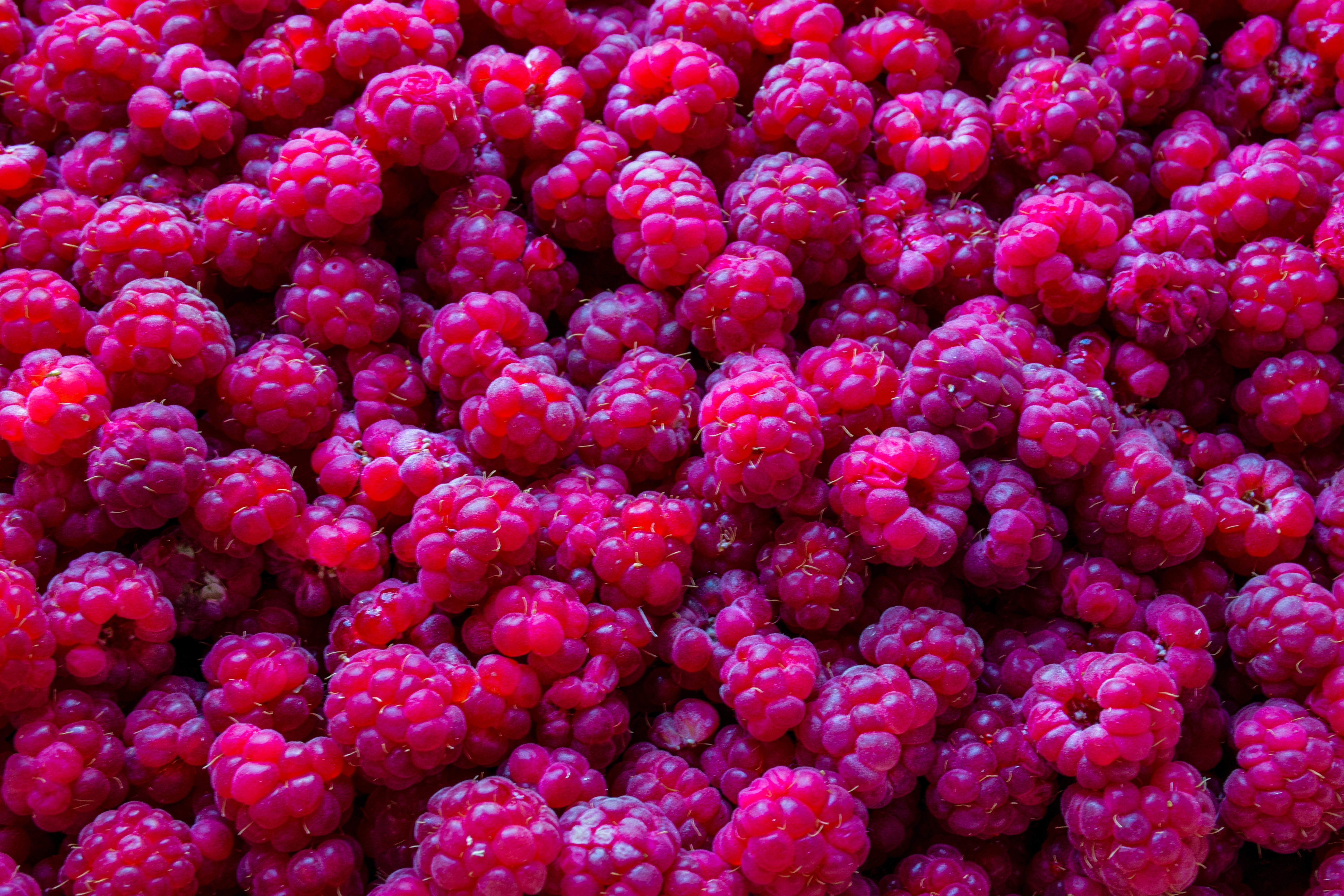 Fresh, ripe raspberries fill the image.