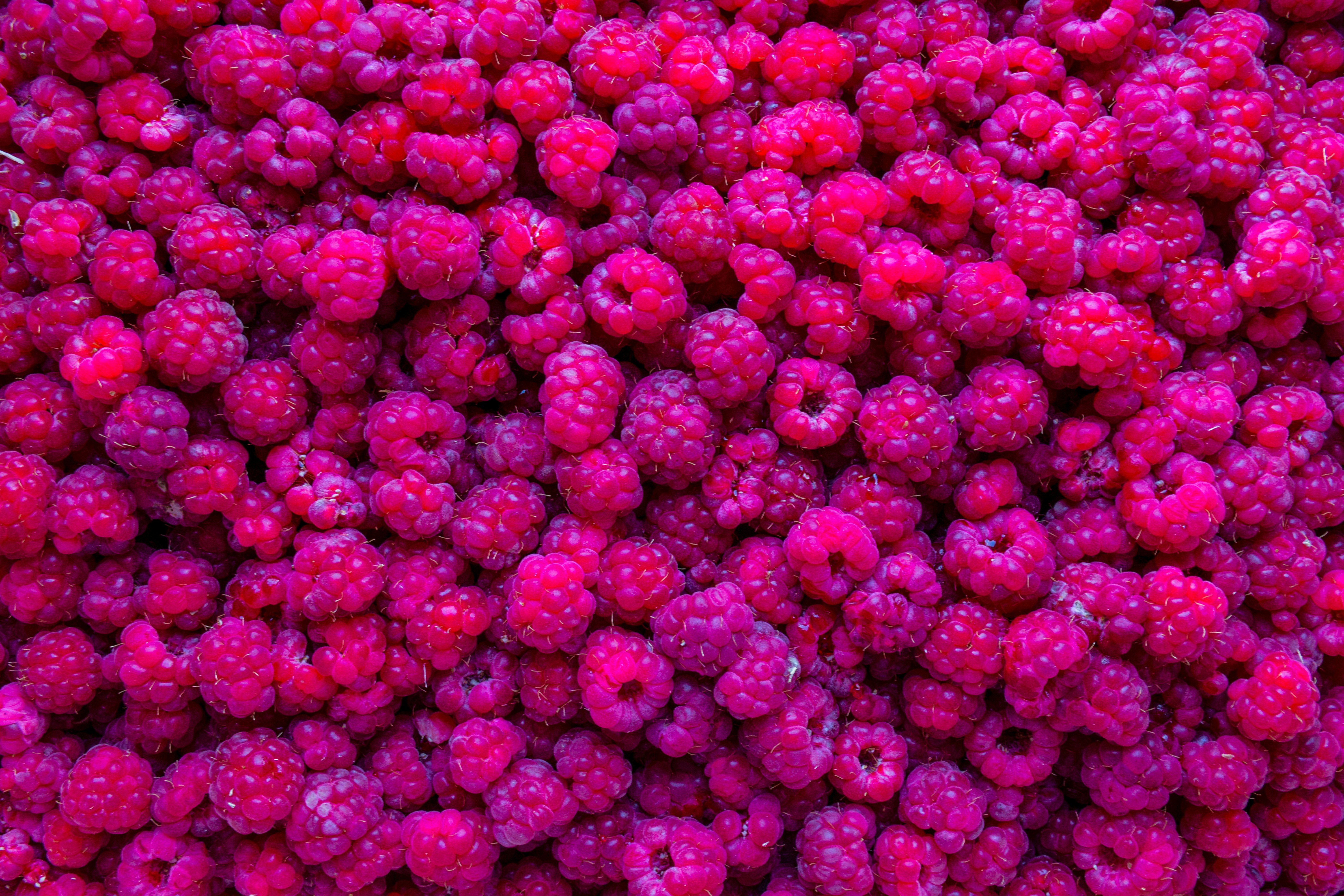 Here is a caption: delicious raspberries fill the frame.