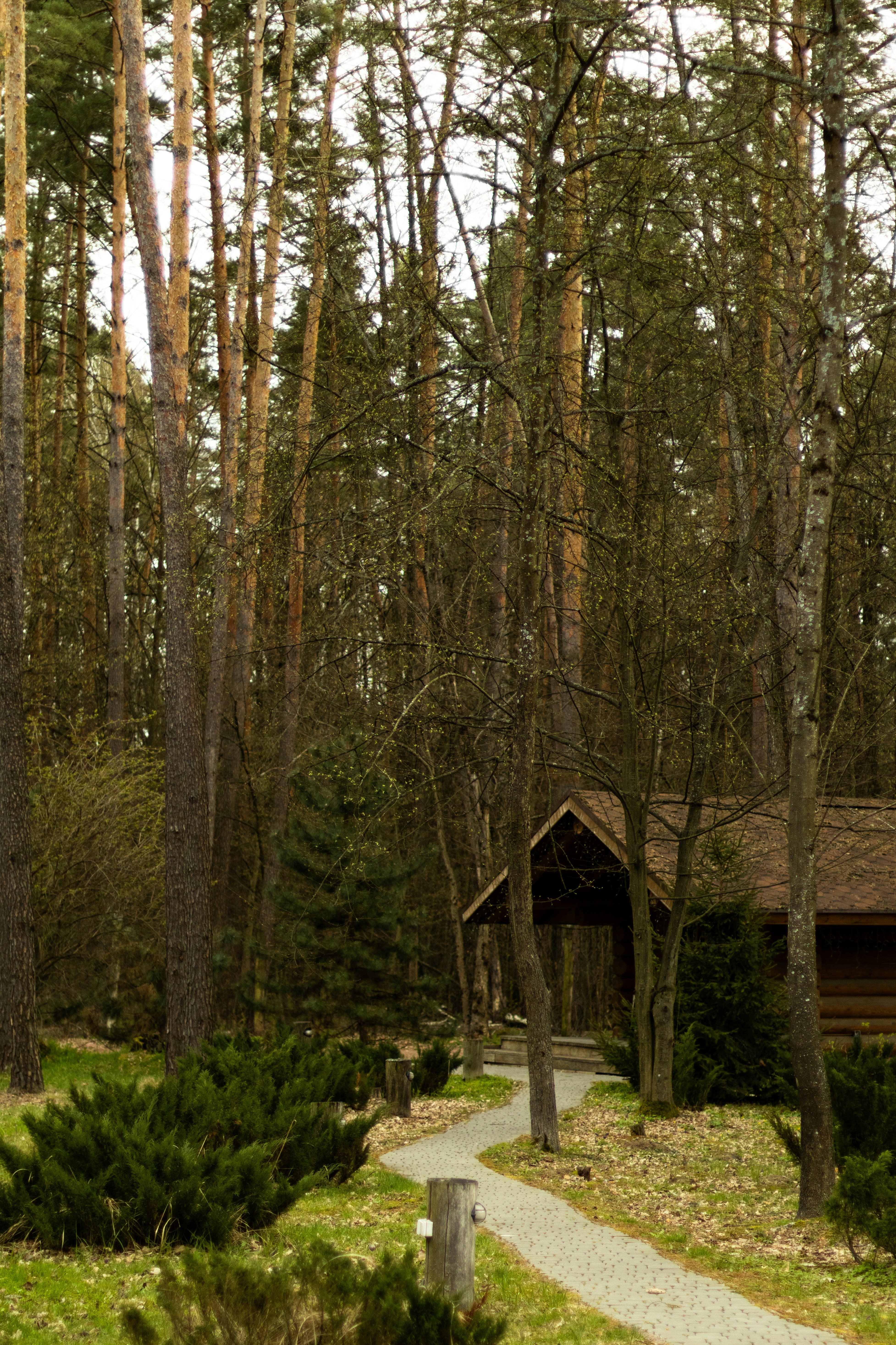 Photo by anyutakejbalo