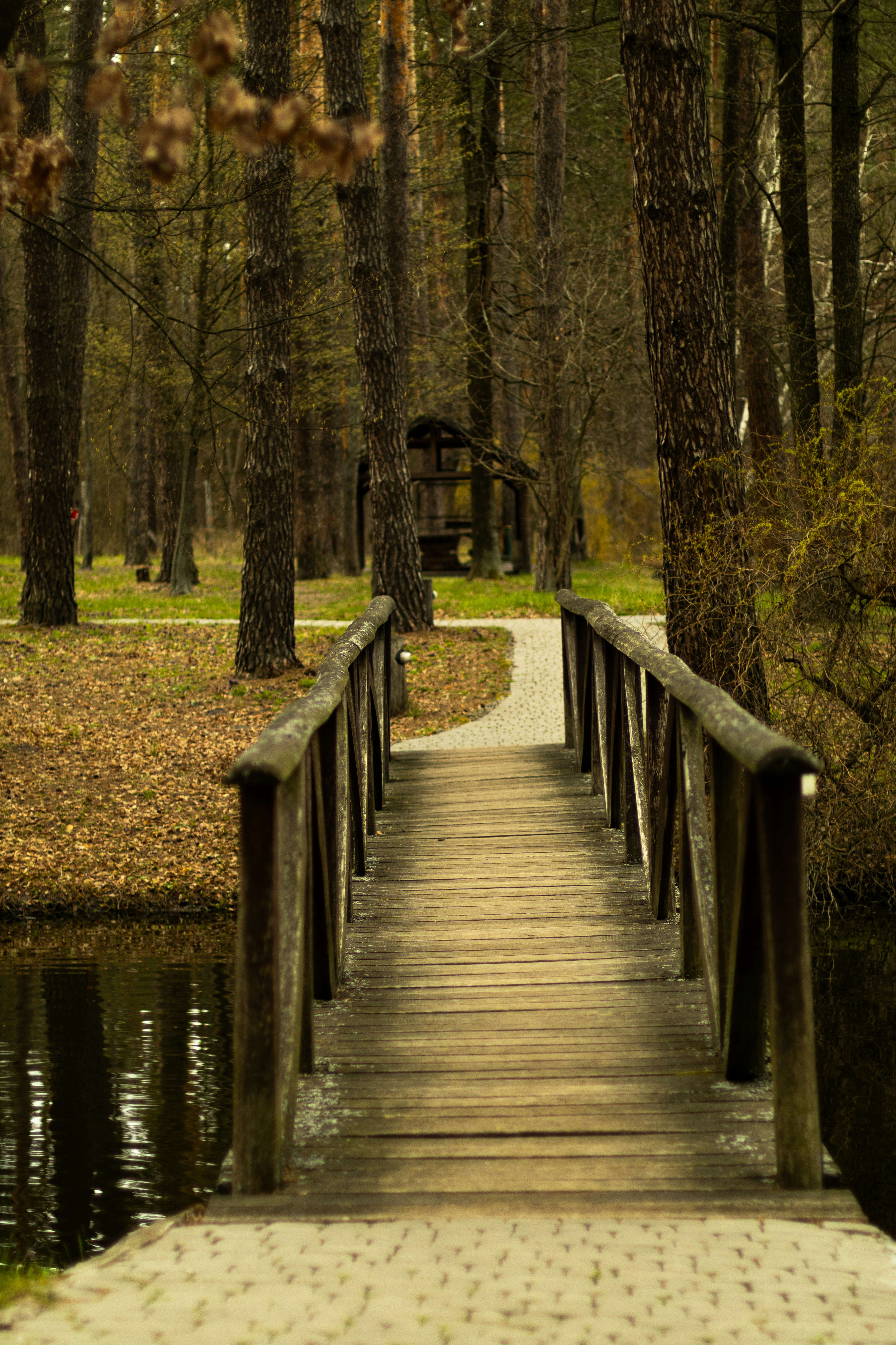 Photo by anyutakejbalo