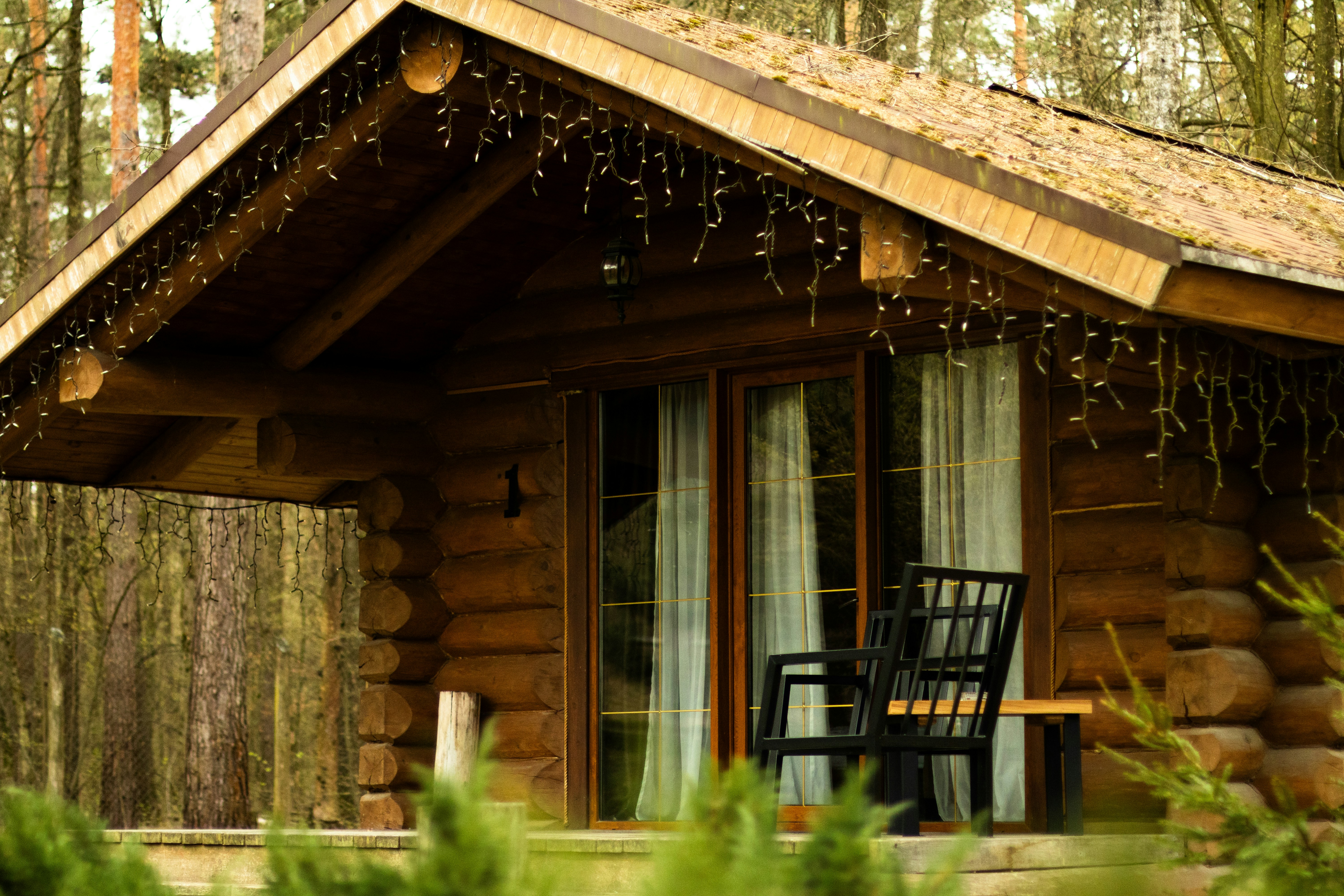 A cozy log cabin resides amidst a forest. photo – Free Building Image ...