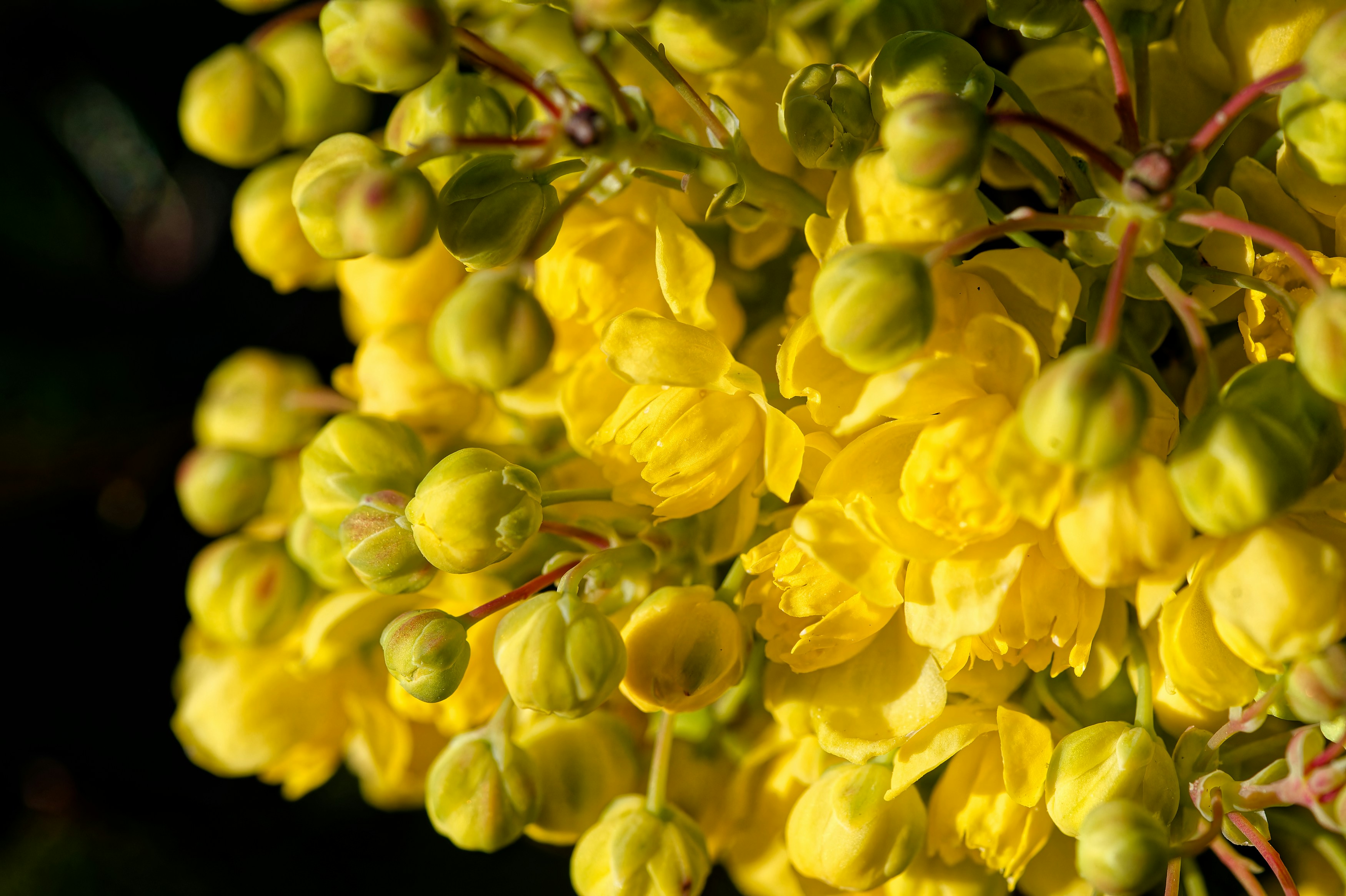 Photo by designbytholen