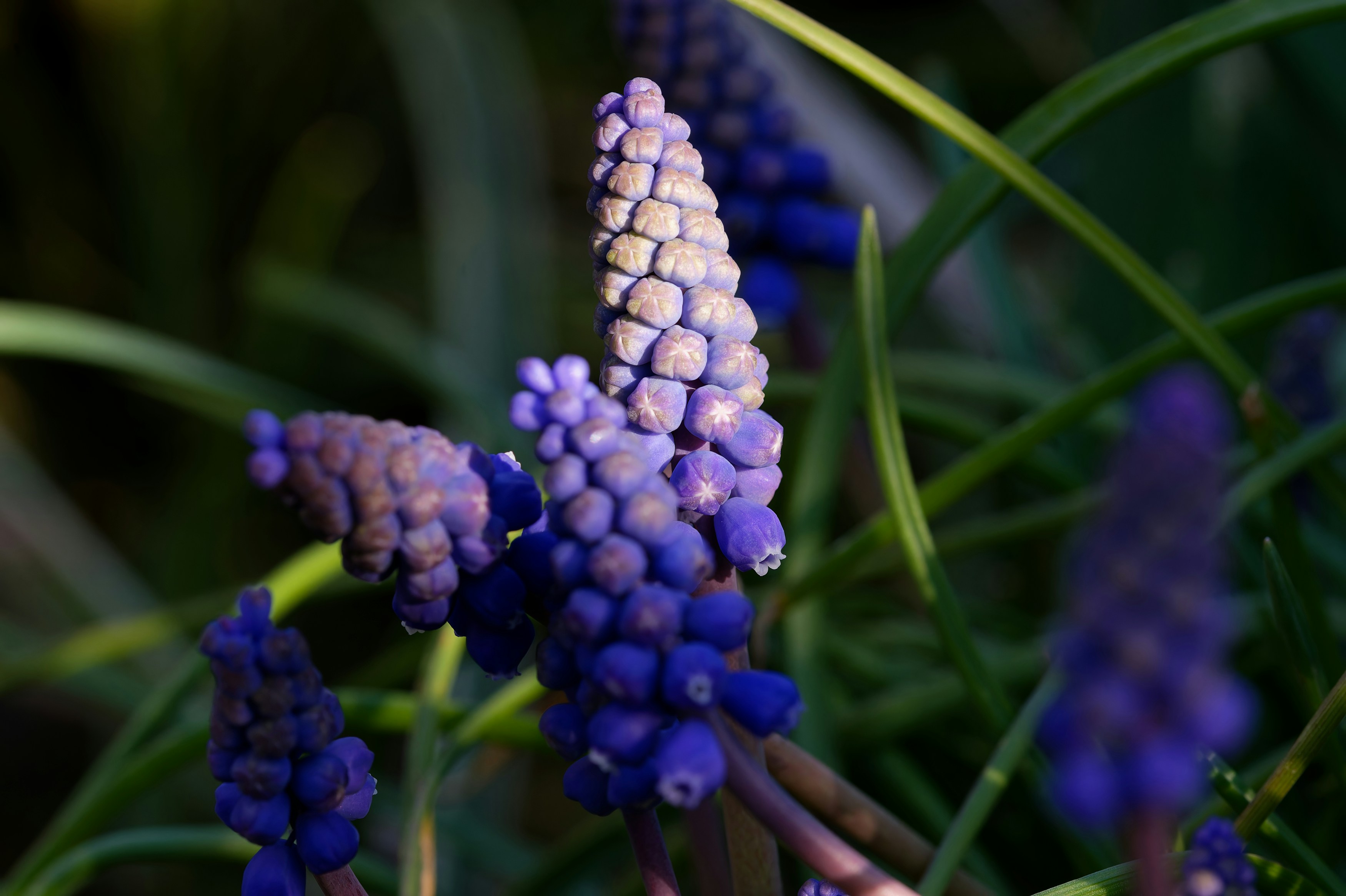 Photo by designbytholen