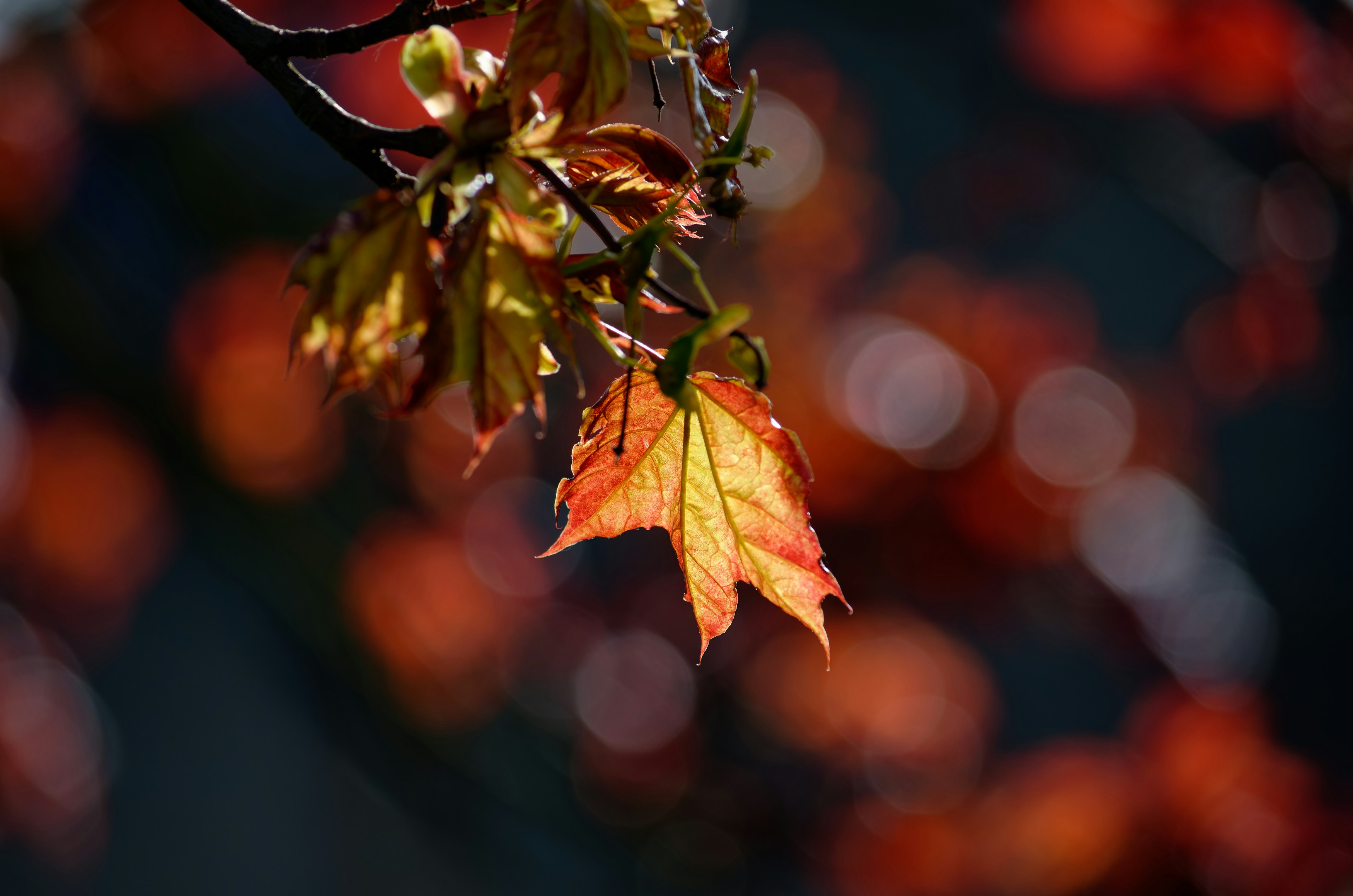 Photo by designbytholen