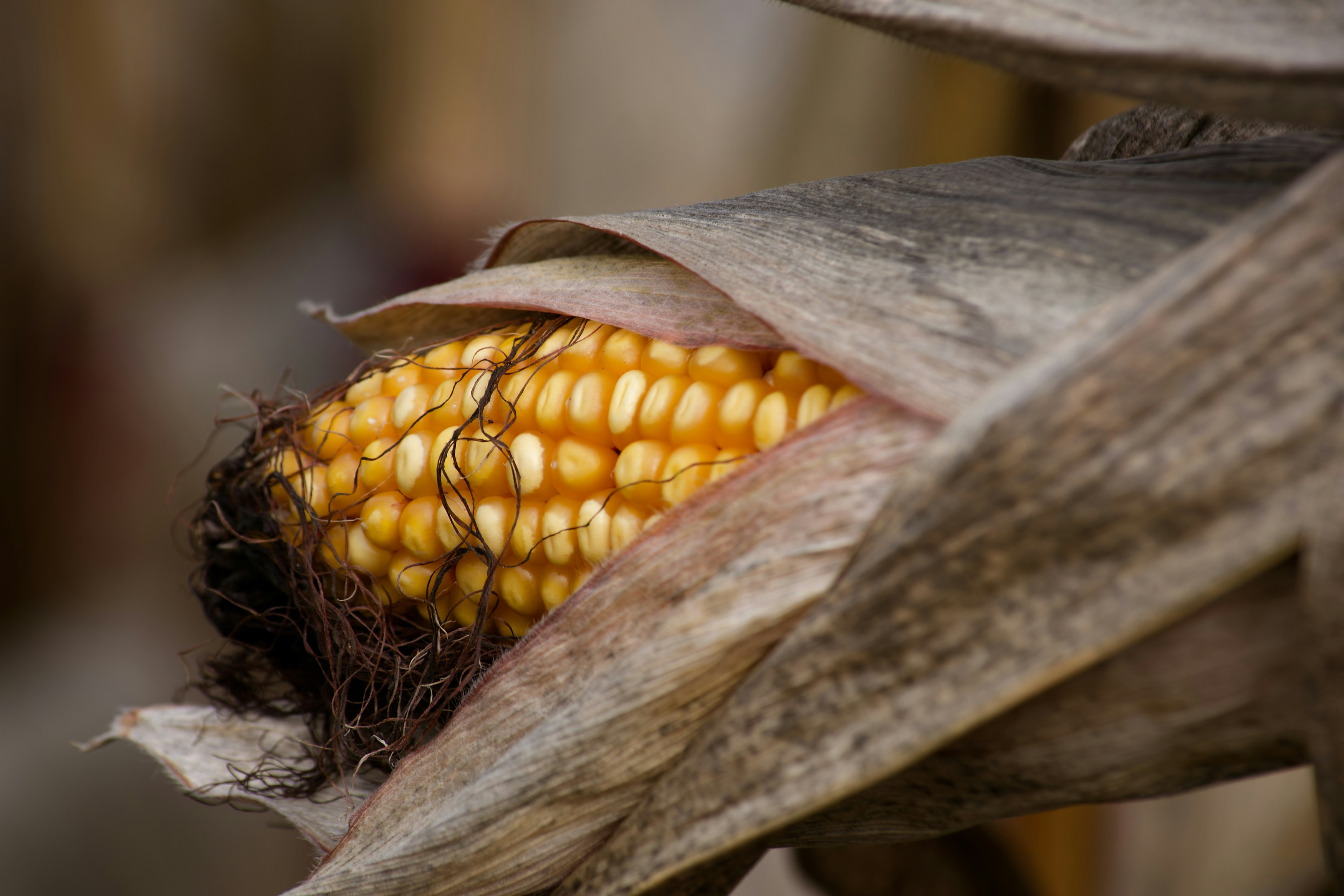 Photo by designbytholen