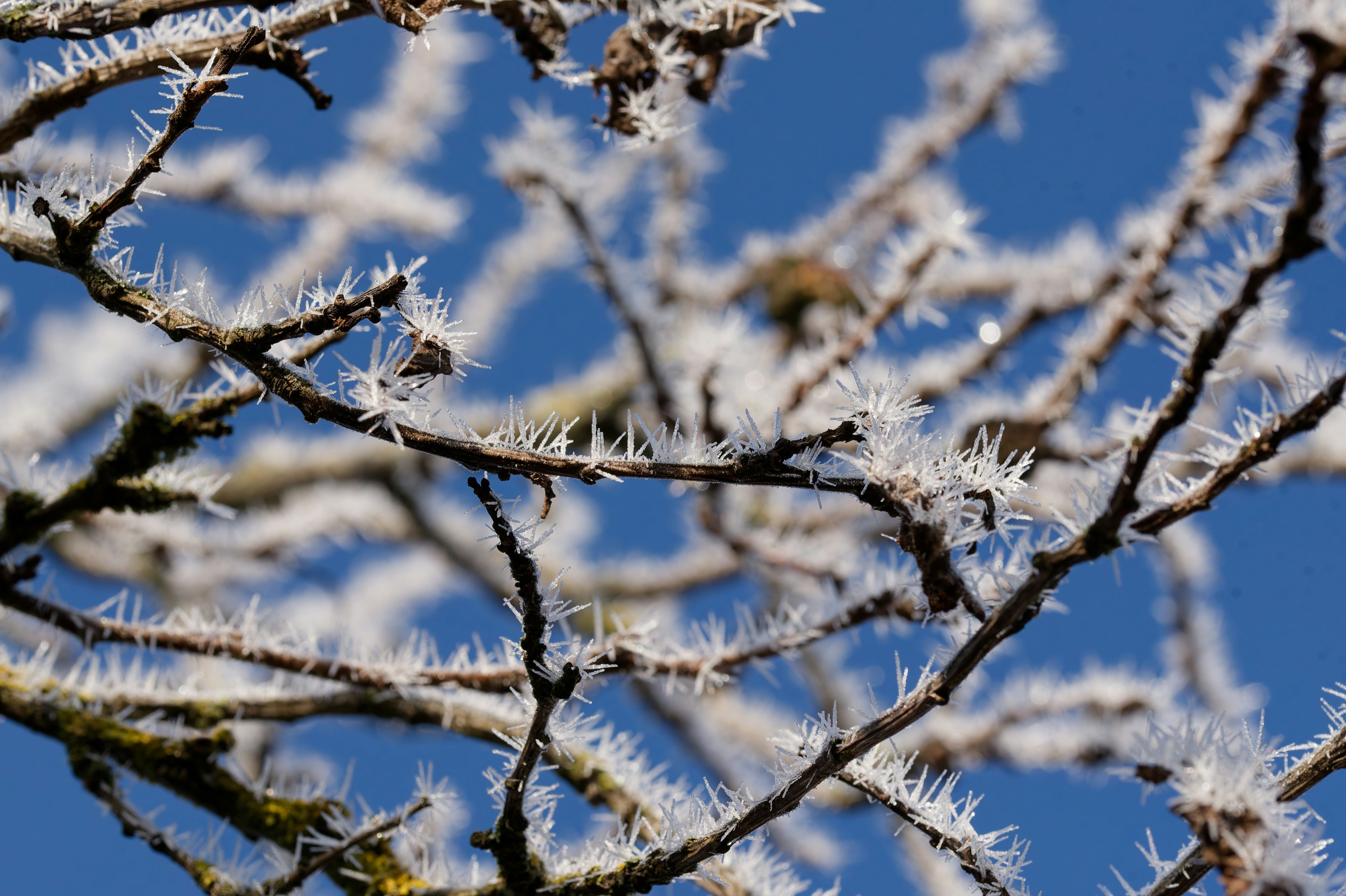 Photo by designbytholen