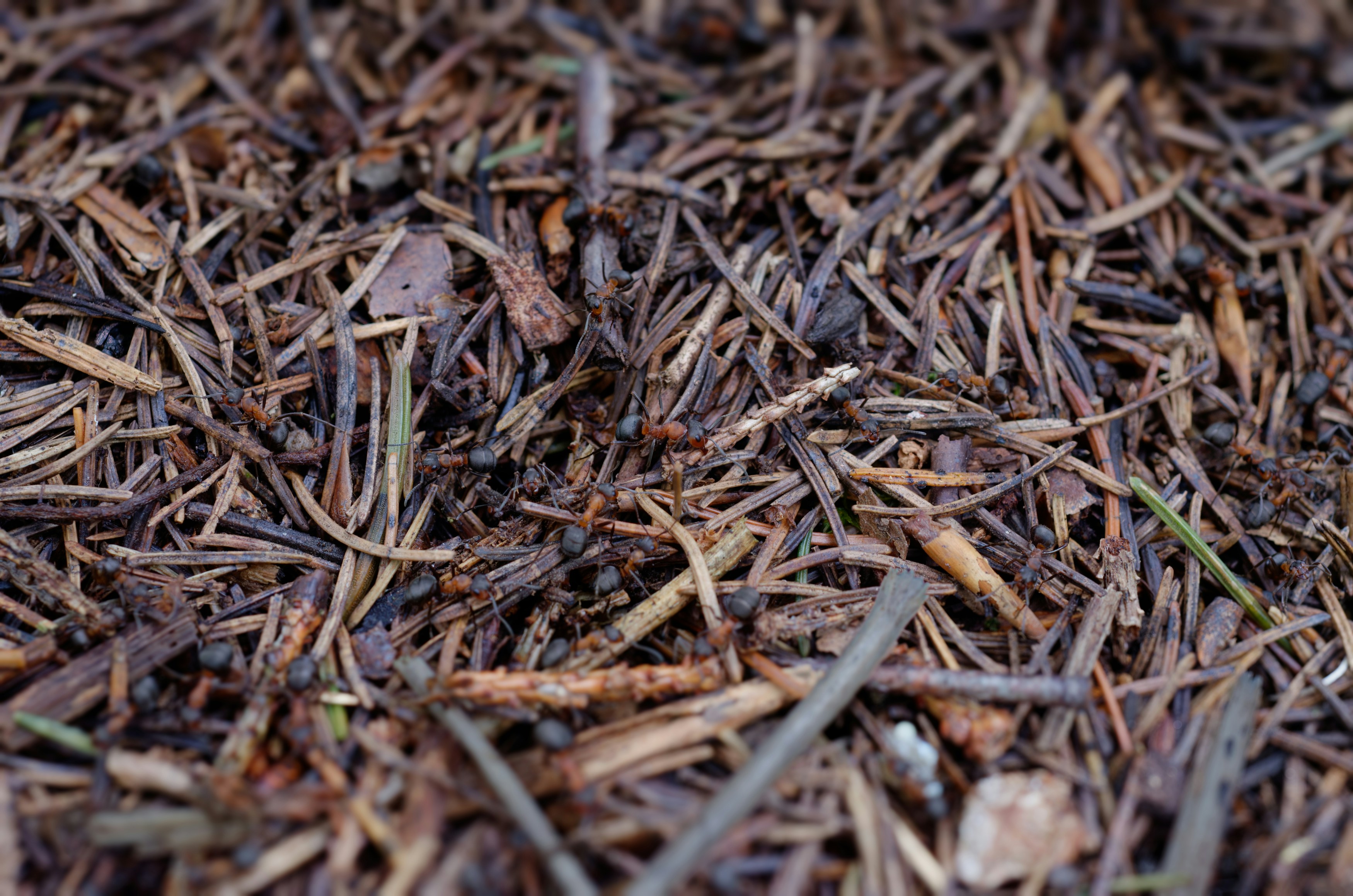 Photo by designbytholen