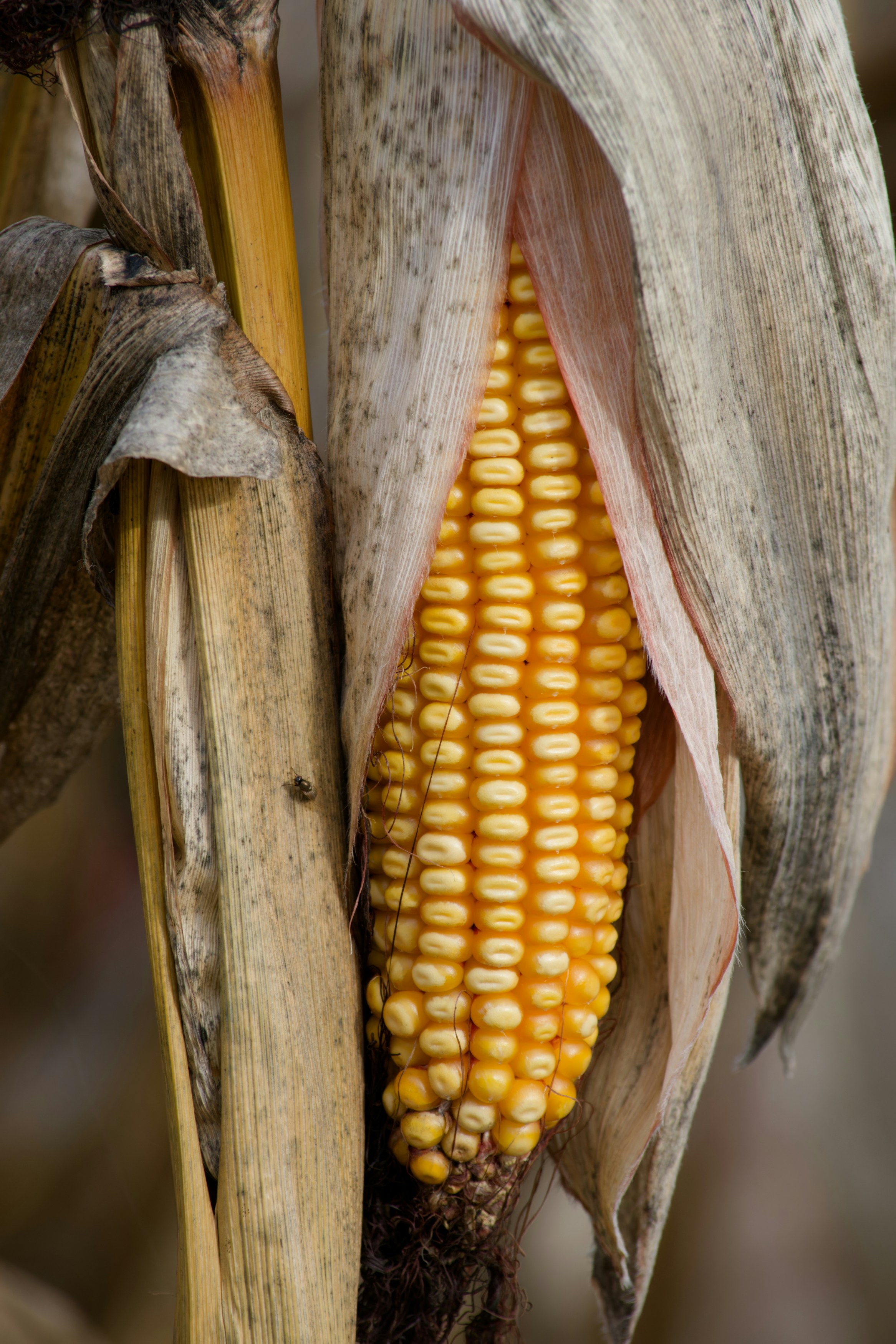 Photo by designbytholen