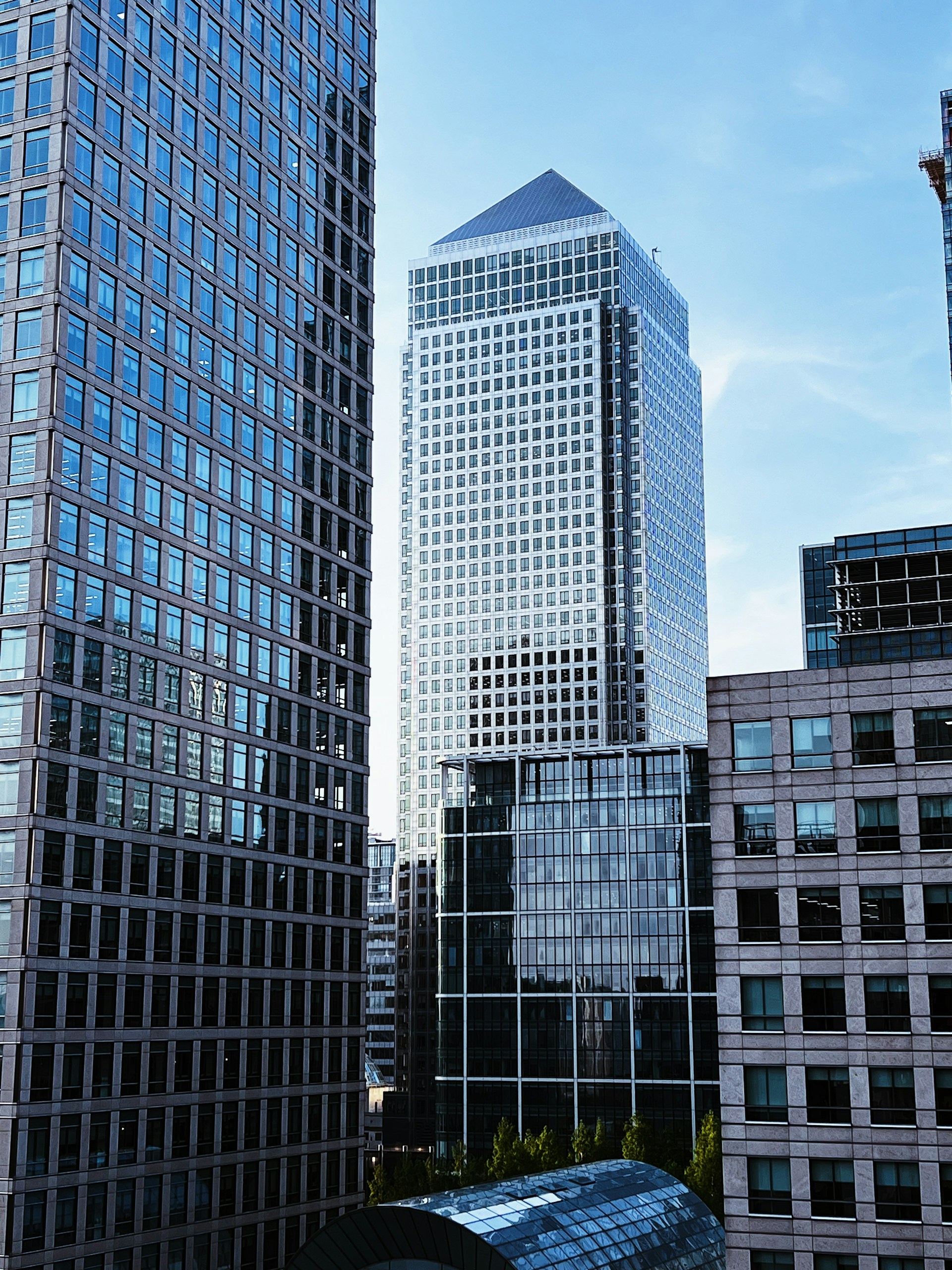Skyscrapers tower over a modern cityscape.