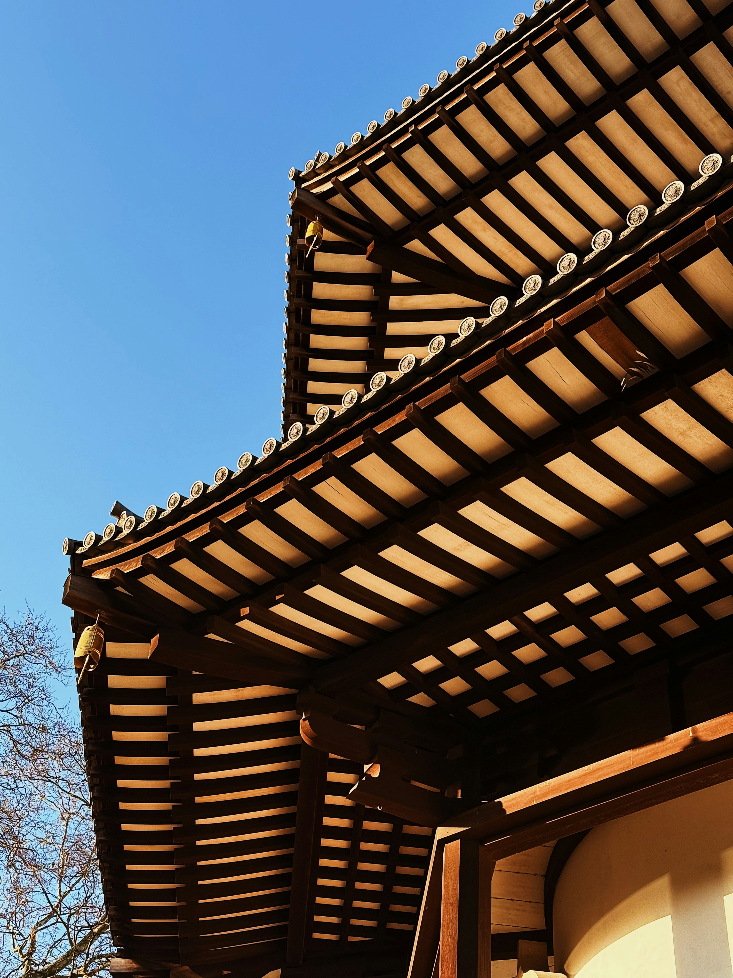 Photo by muhammedfardeen