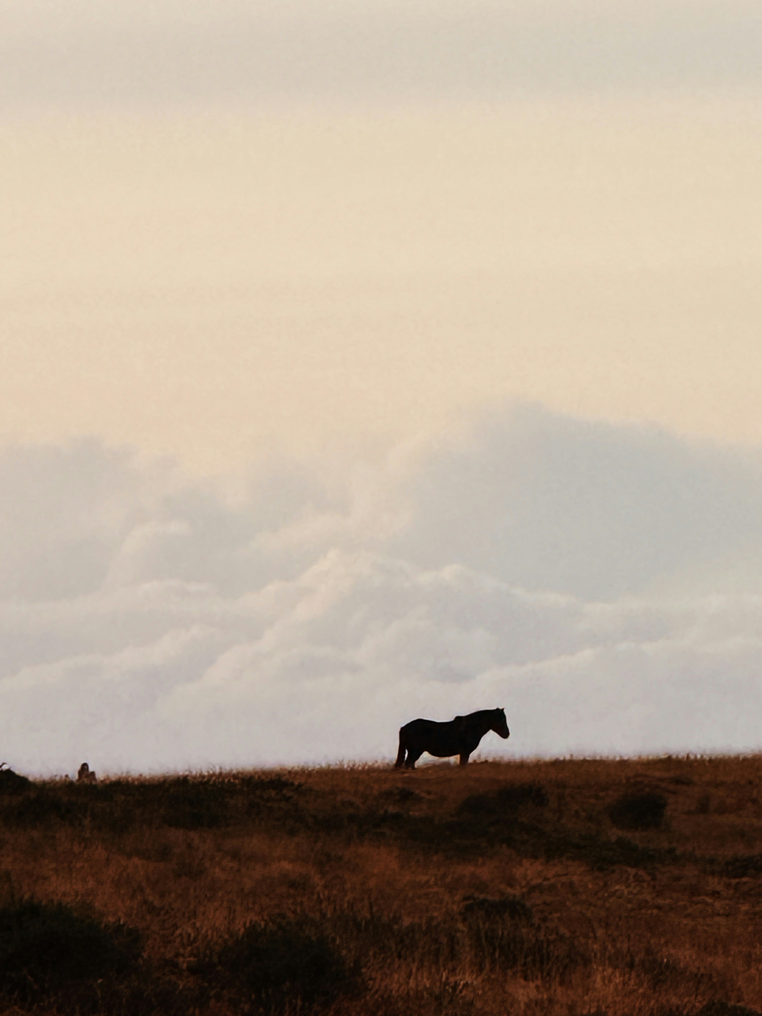 Photo by muhammedfardeen