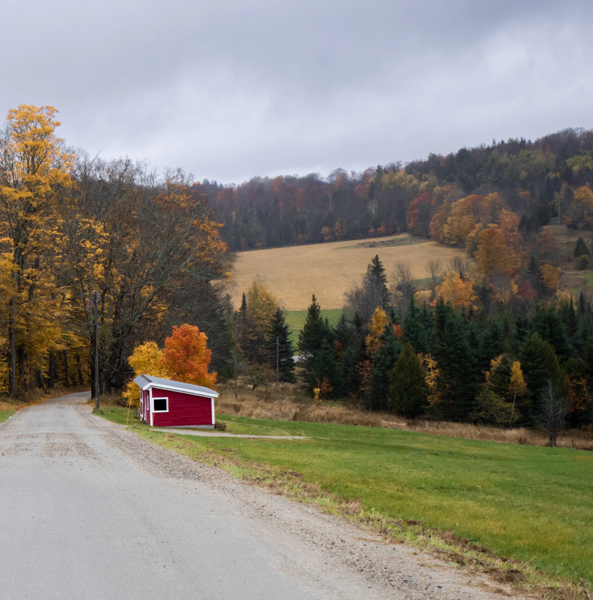 Autumn scenery a road trees and a red shed
