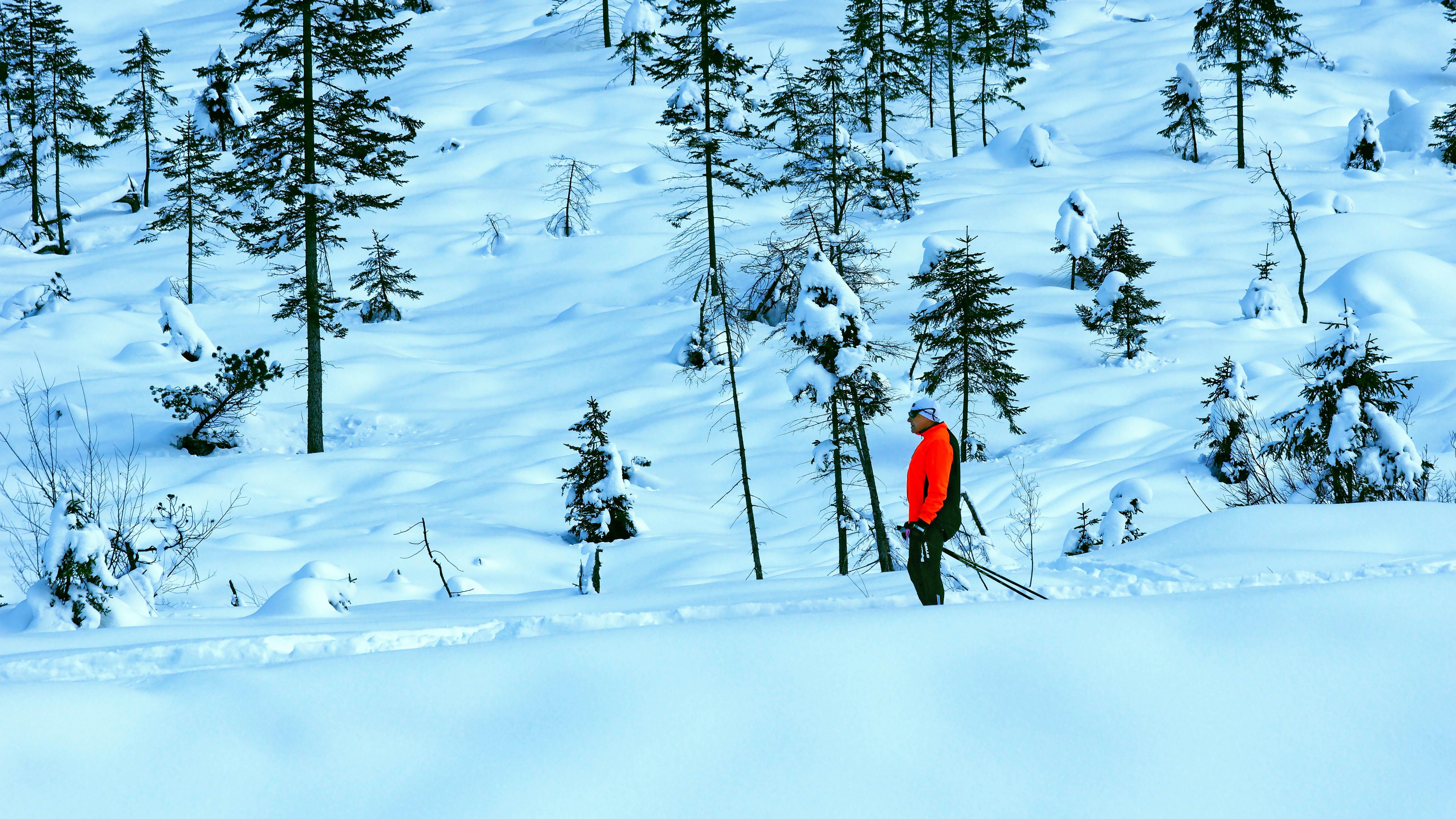 Person in orange jacket stands in snowy forest.