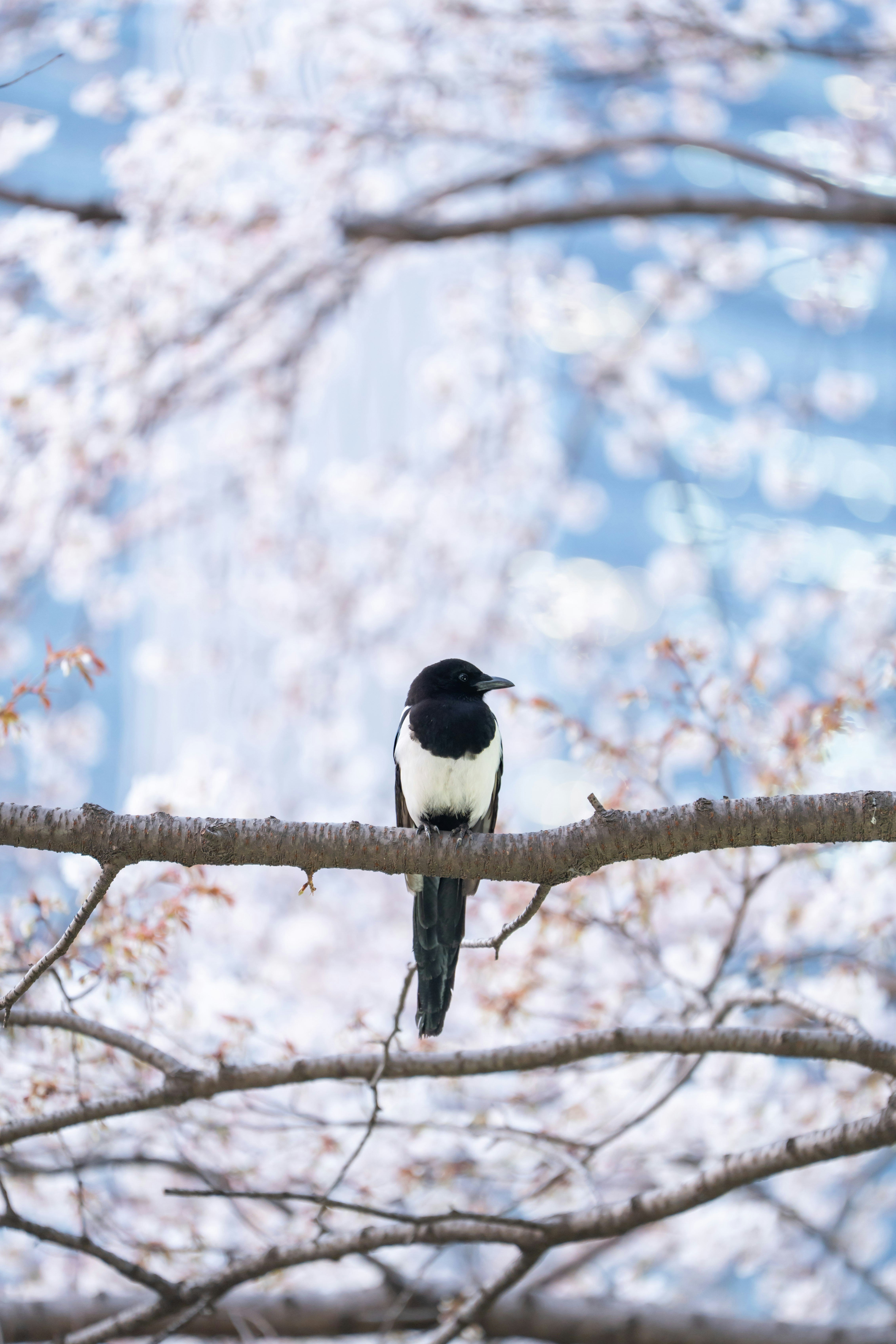 Photo by hyewonphotography