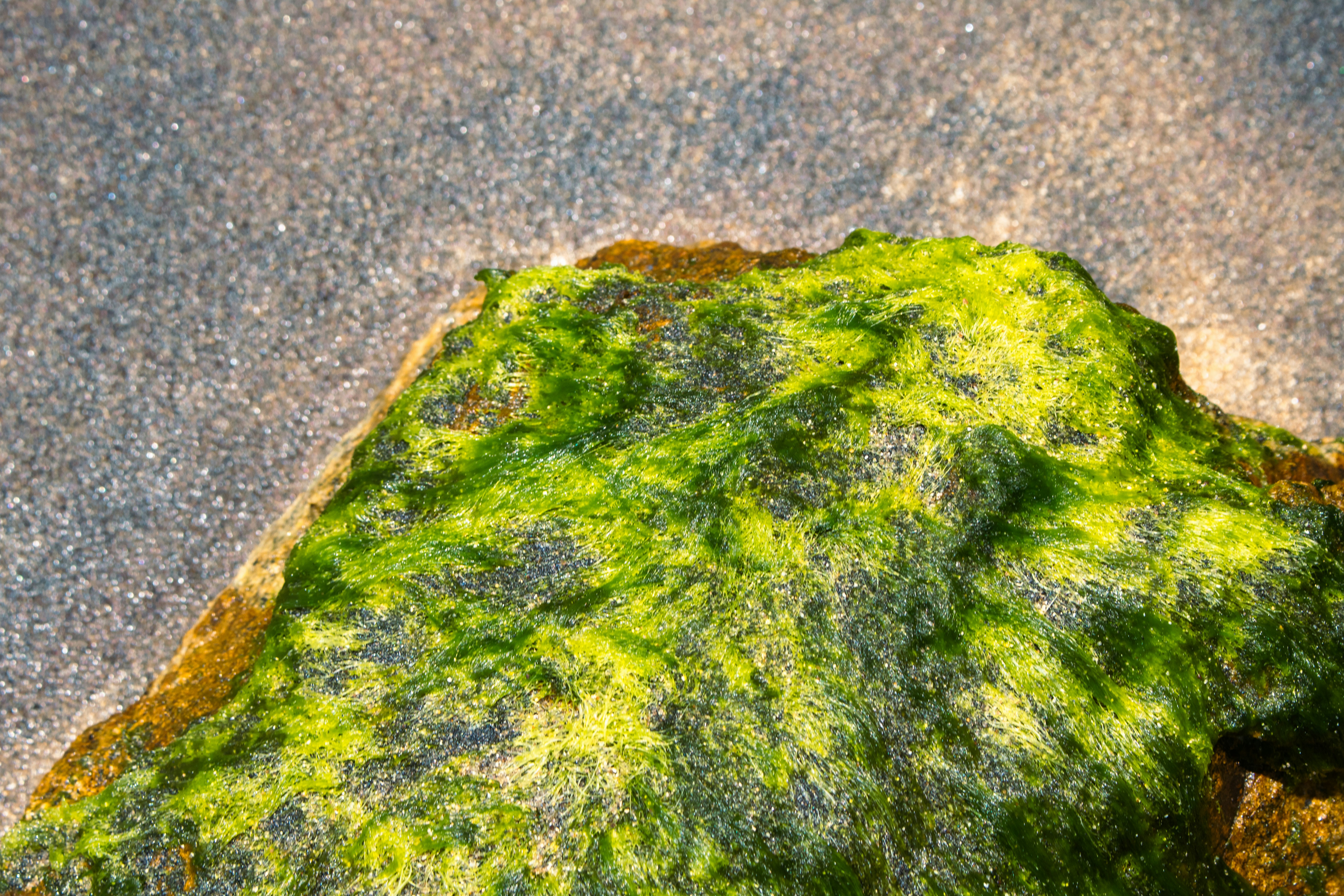 Photo by zoshuacolah