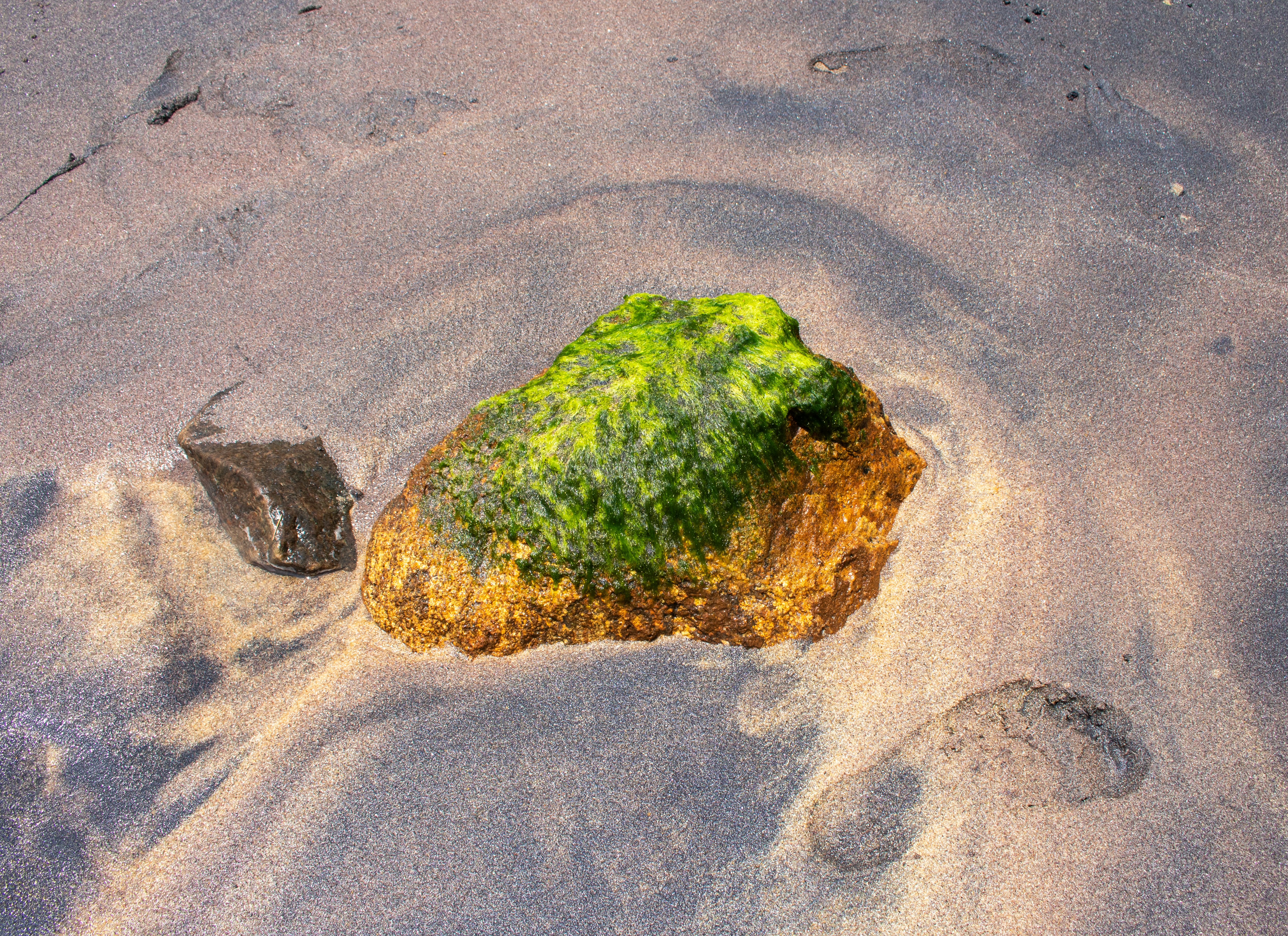 Photo by zoshuacolah