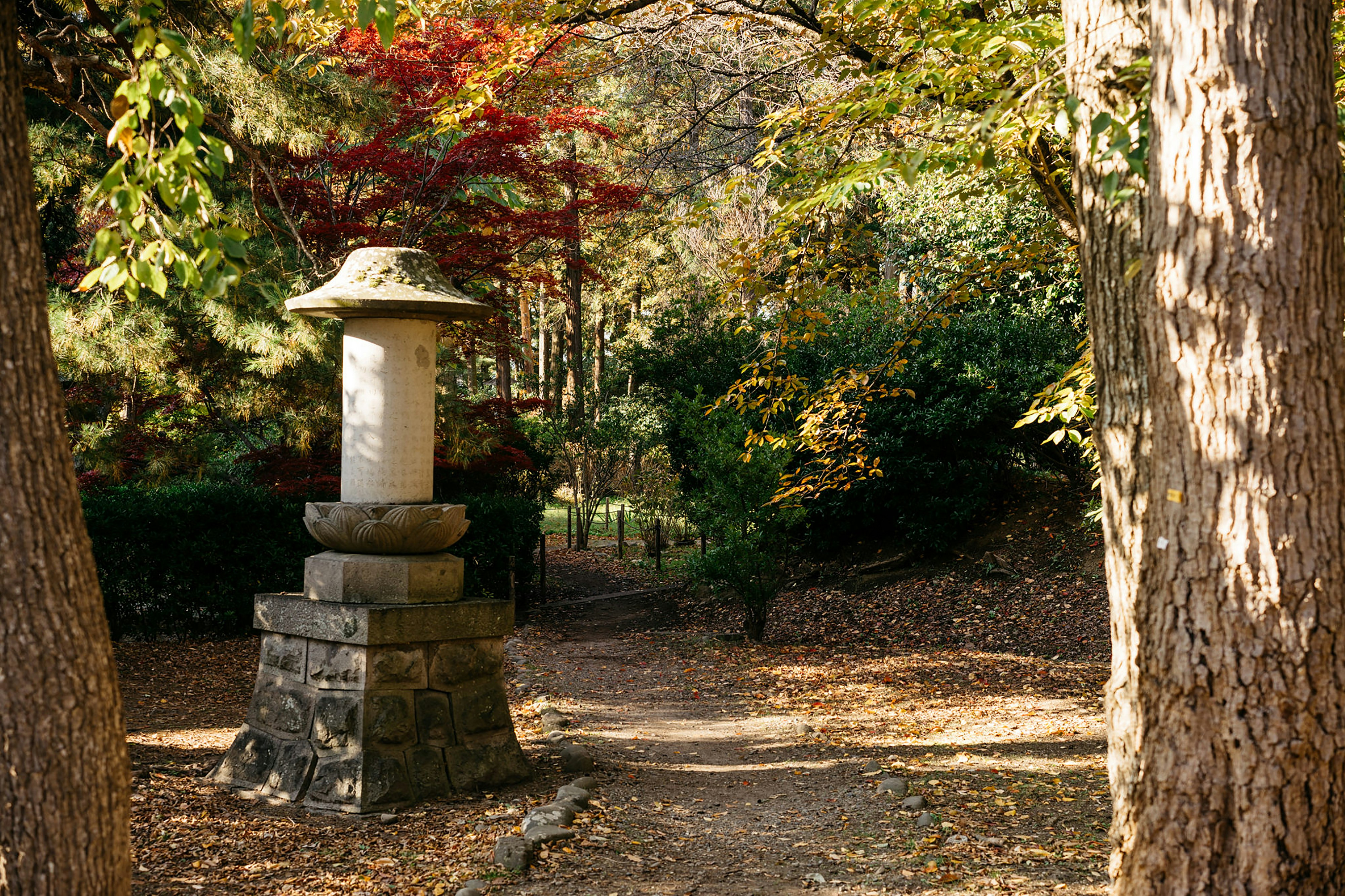 Photo by markuswinkler