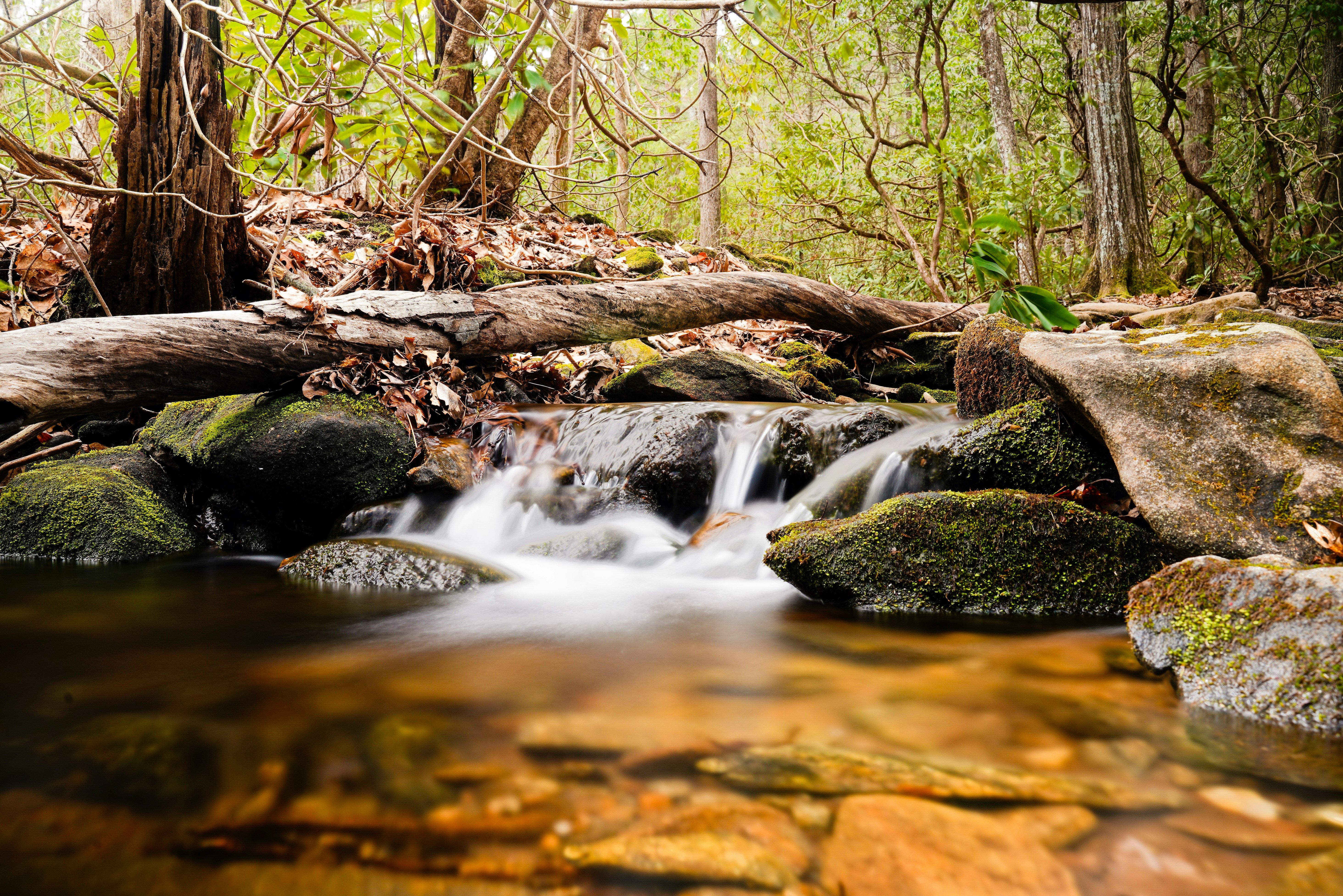 Photo by zacharybasto