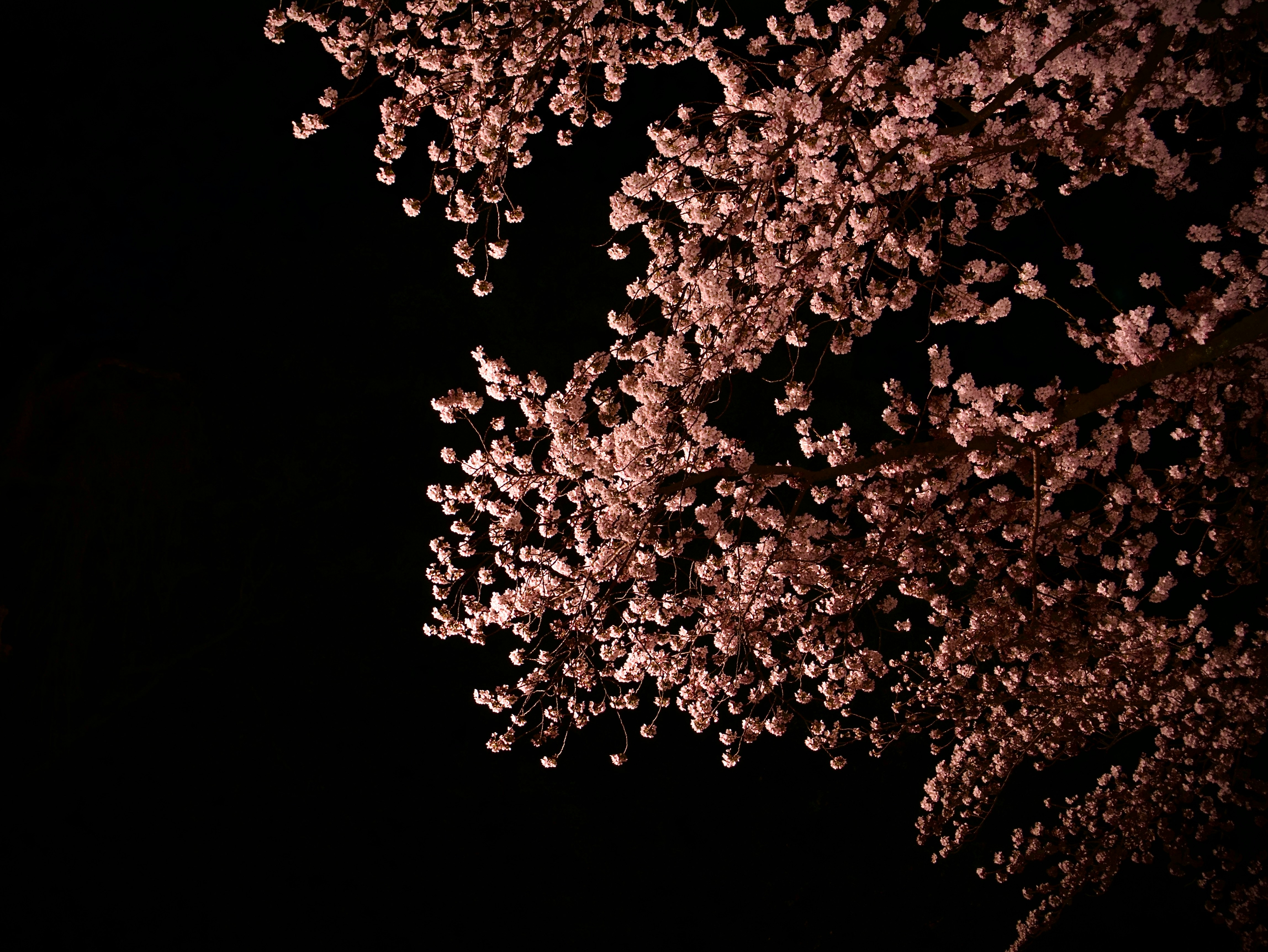 Photo by transistorights