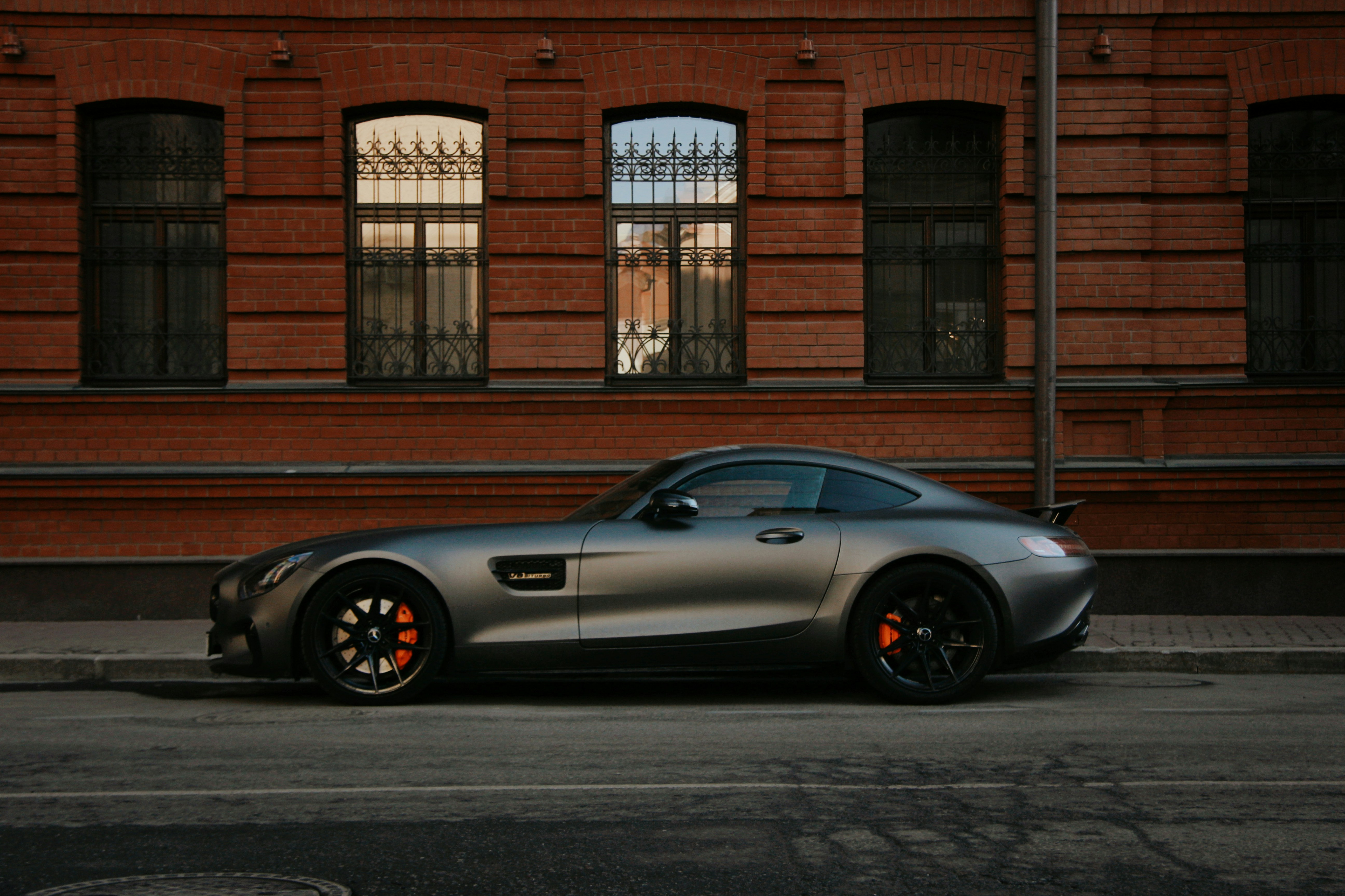 Photo by felis_catus