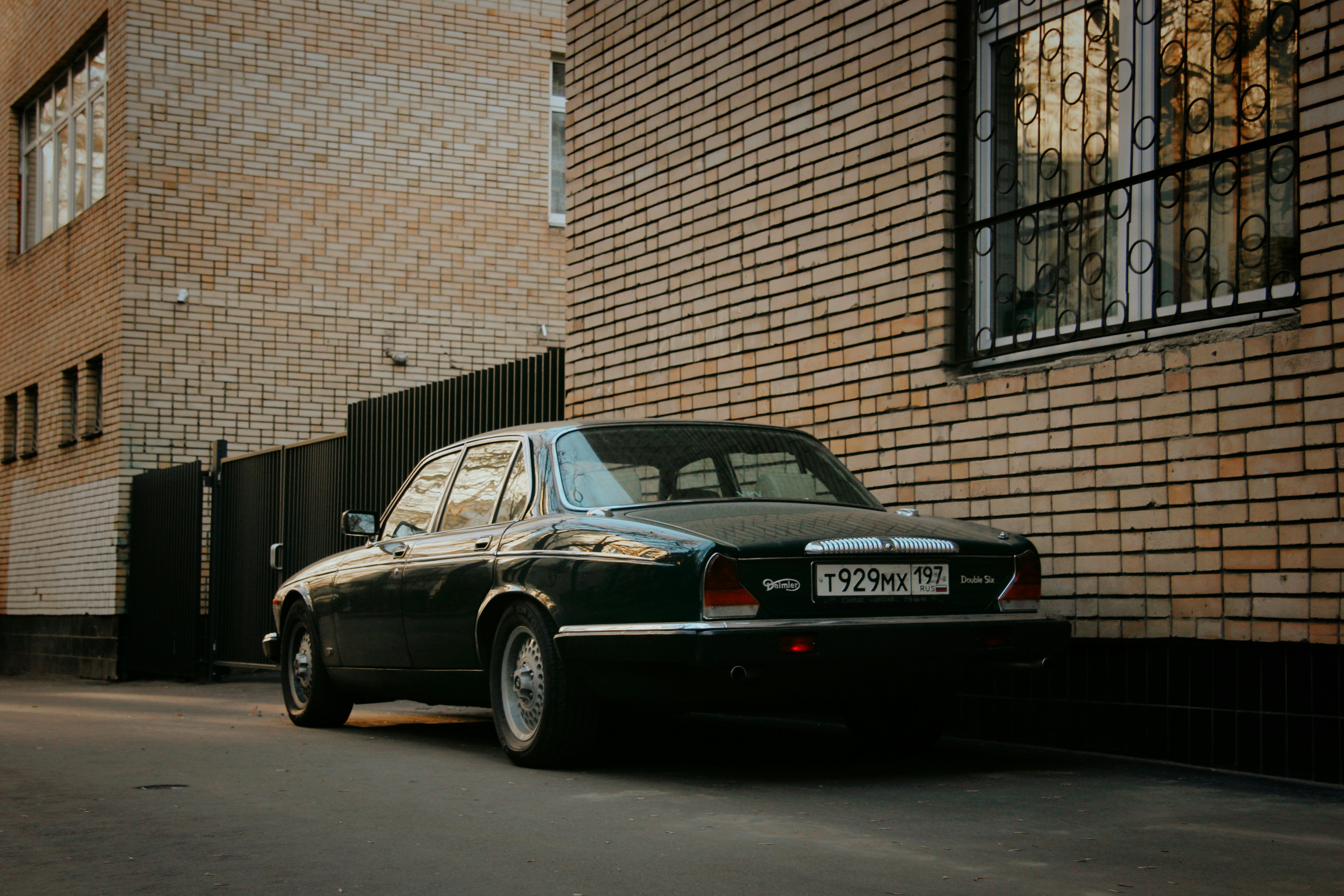 Photo by felis_catus