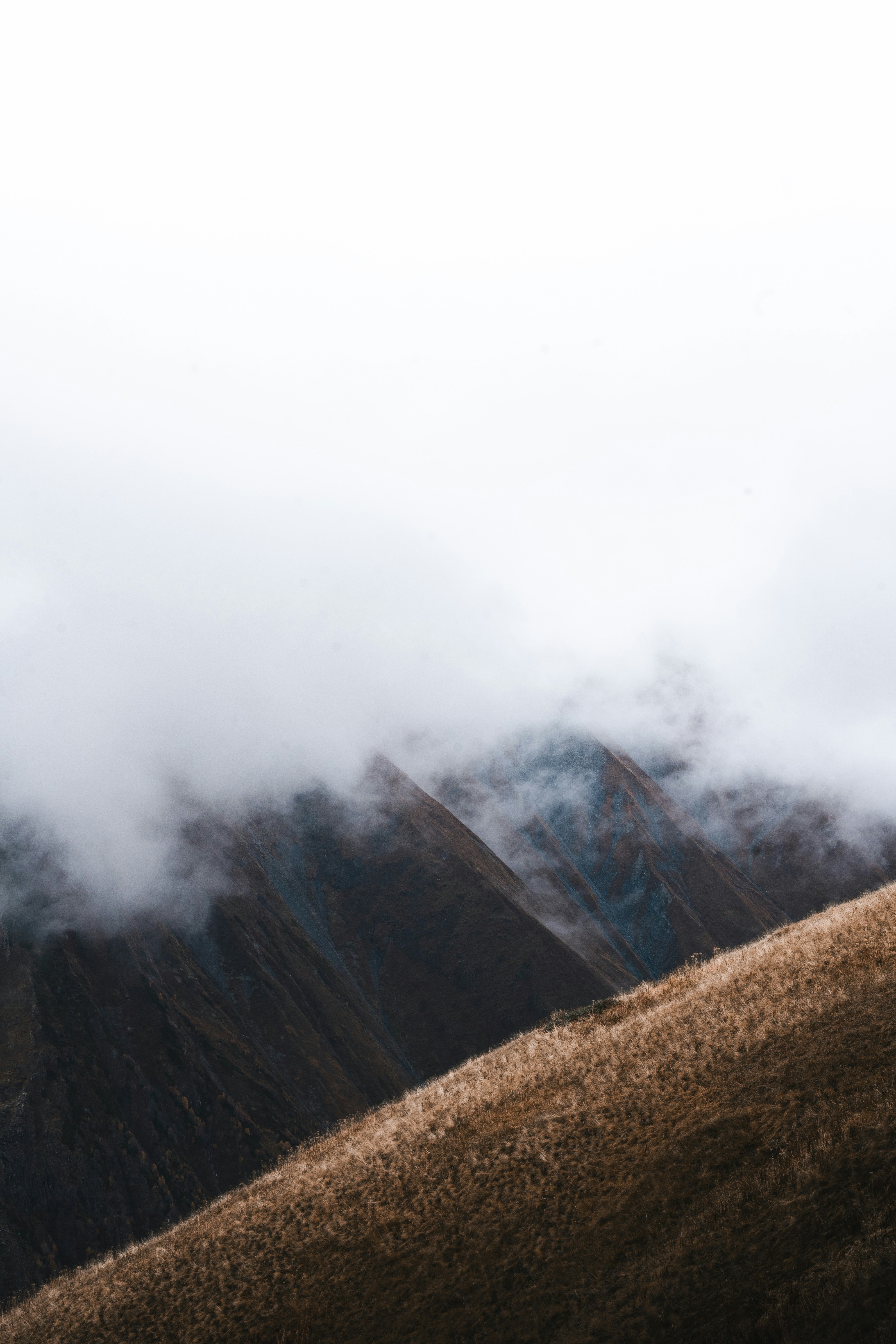 Photo by auchynnikau