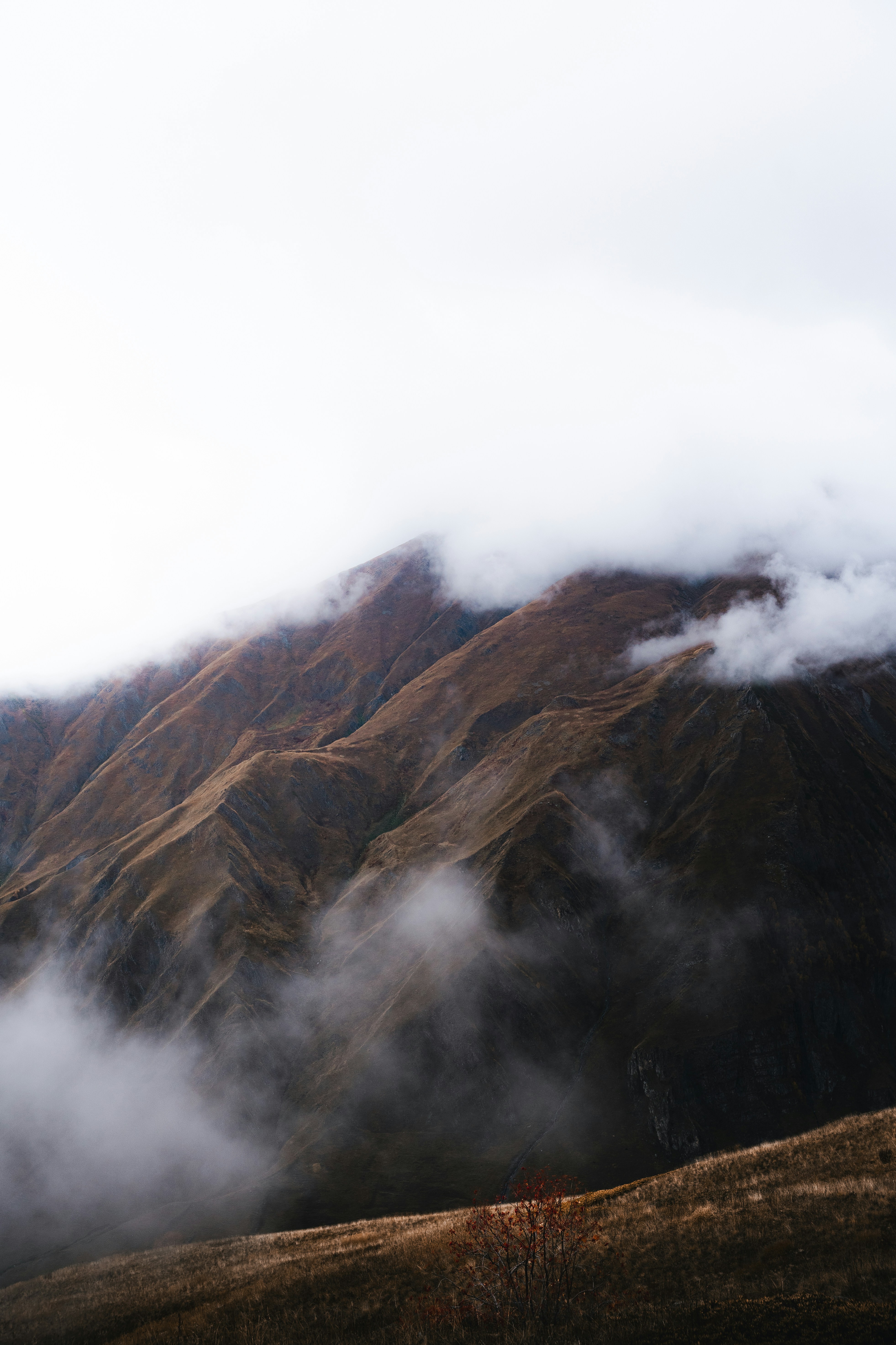 Photo by auchynnikau