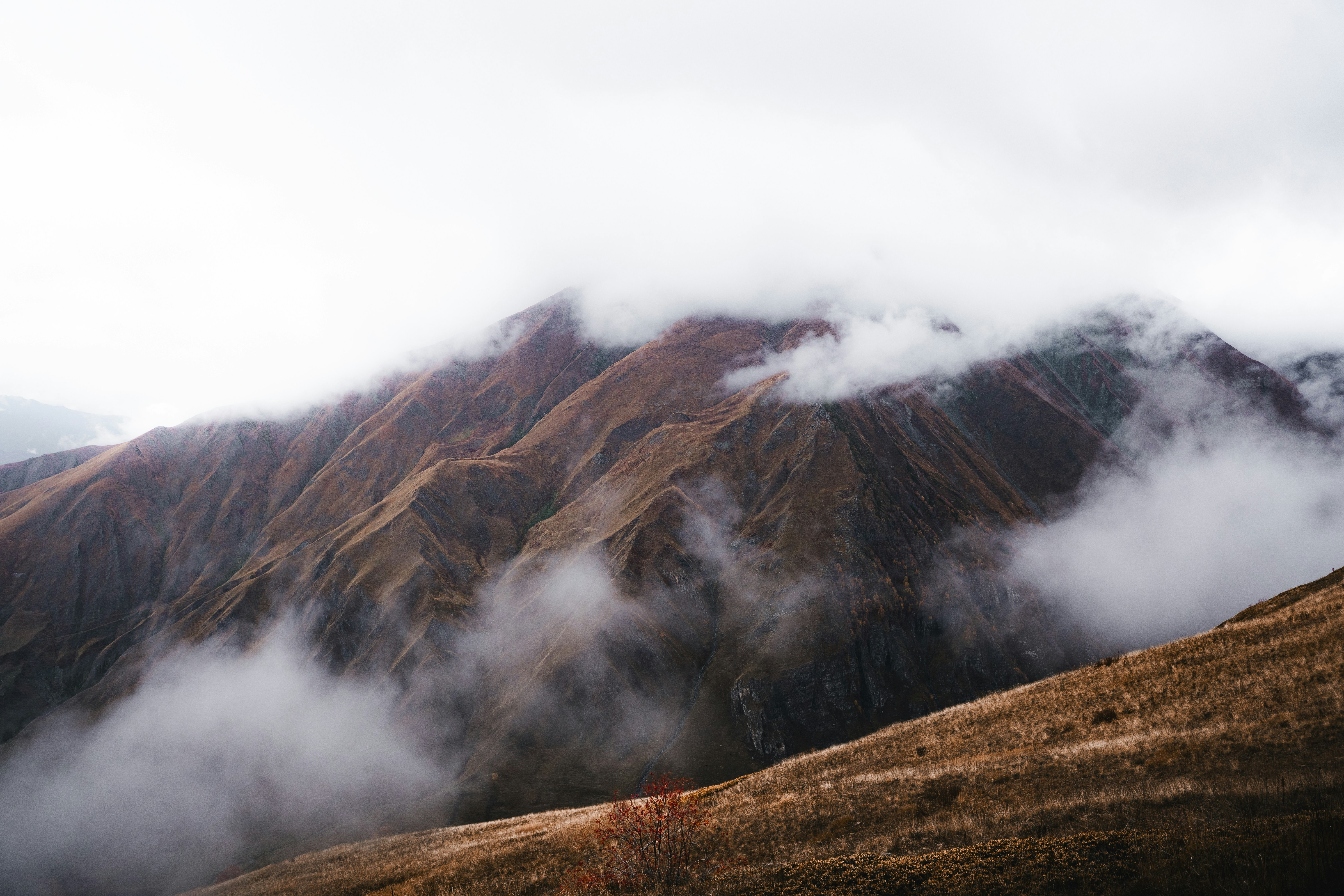 Photo by auchynnikau