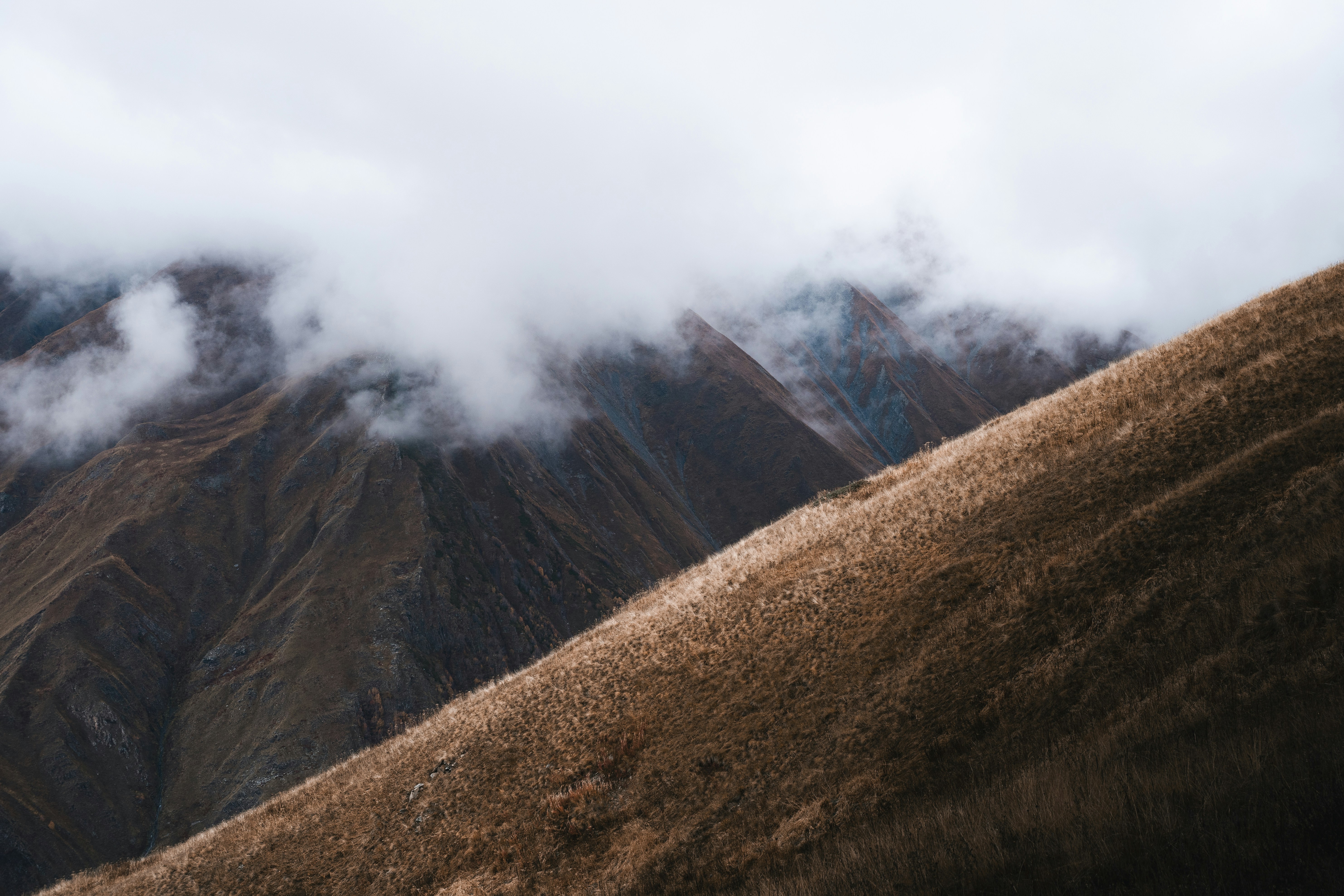 Photo by auchynnikau