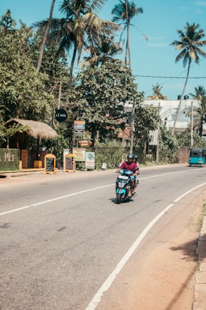 A scooter drives on a road lined by palm trees.