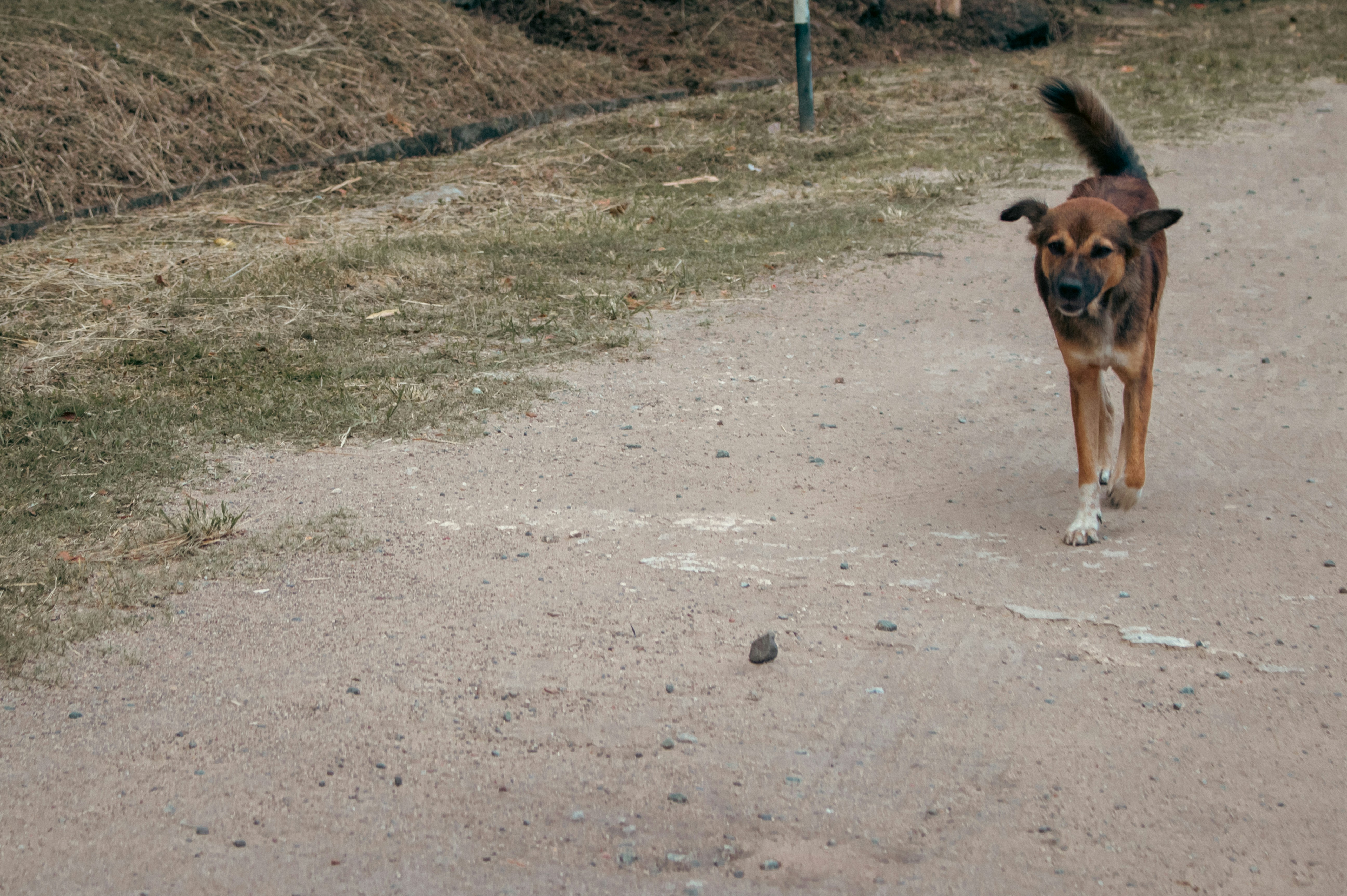 Photo by zoshuacolah