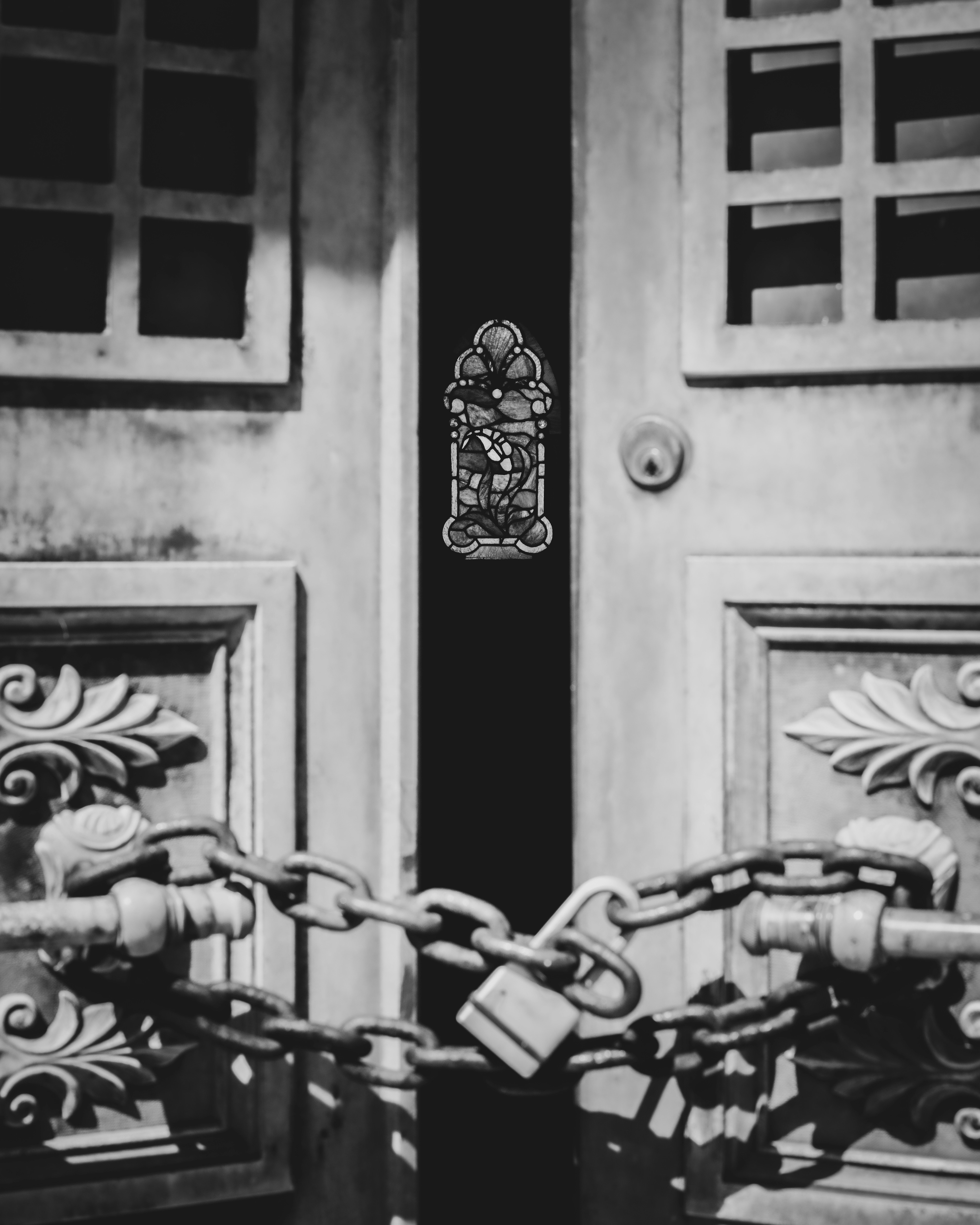 Photo by _zash_capturing