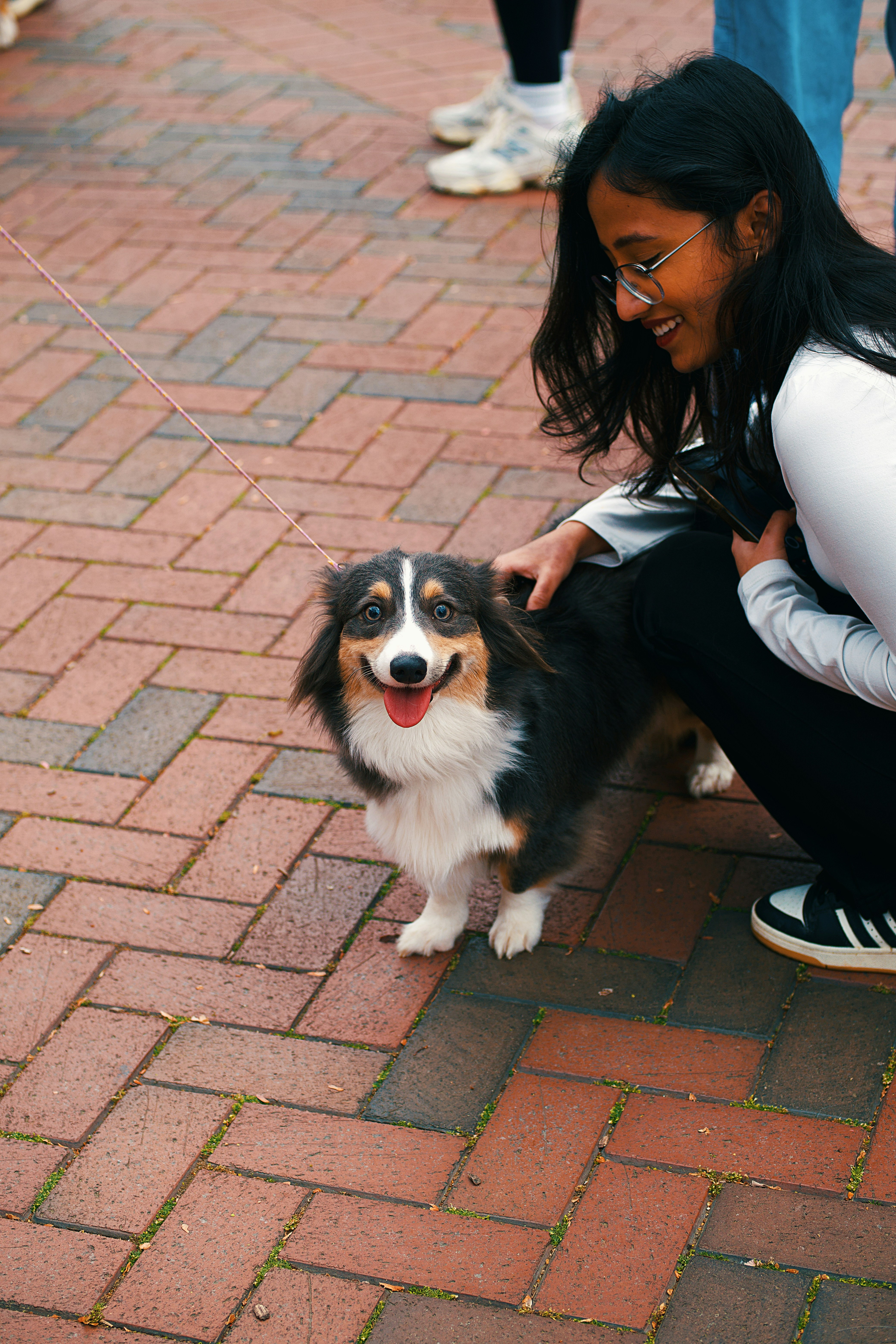 Woman happily pets an adorable dog on a leash.