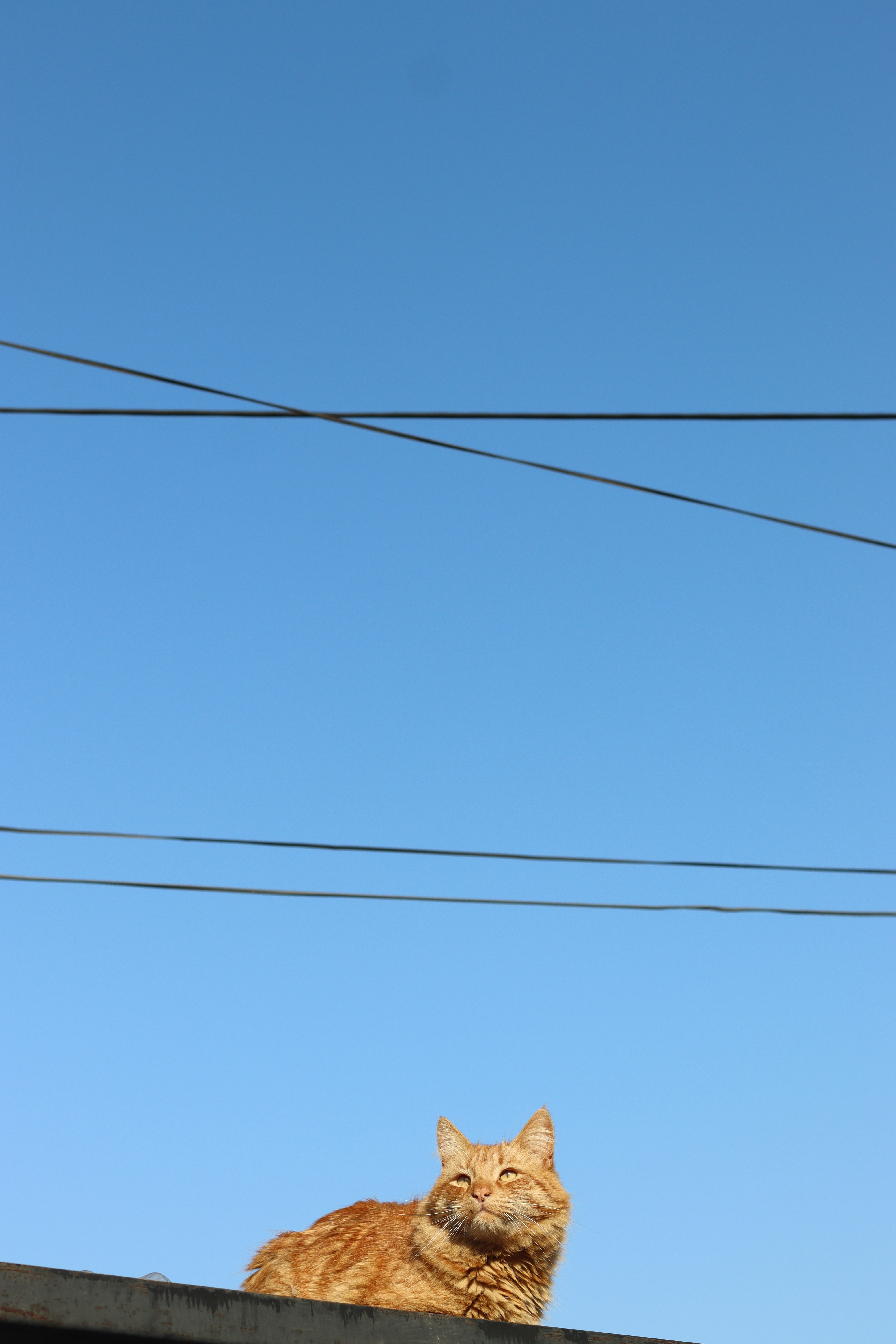 Photo by rodrigotypo