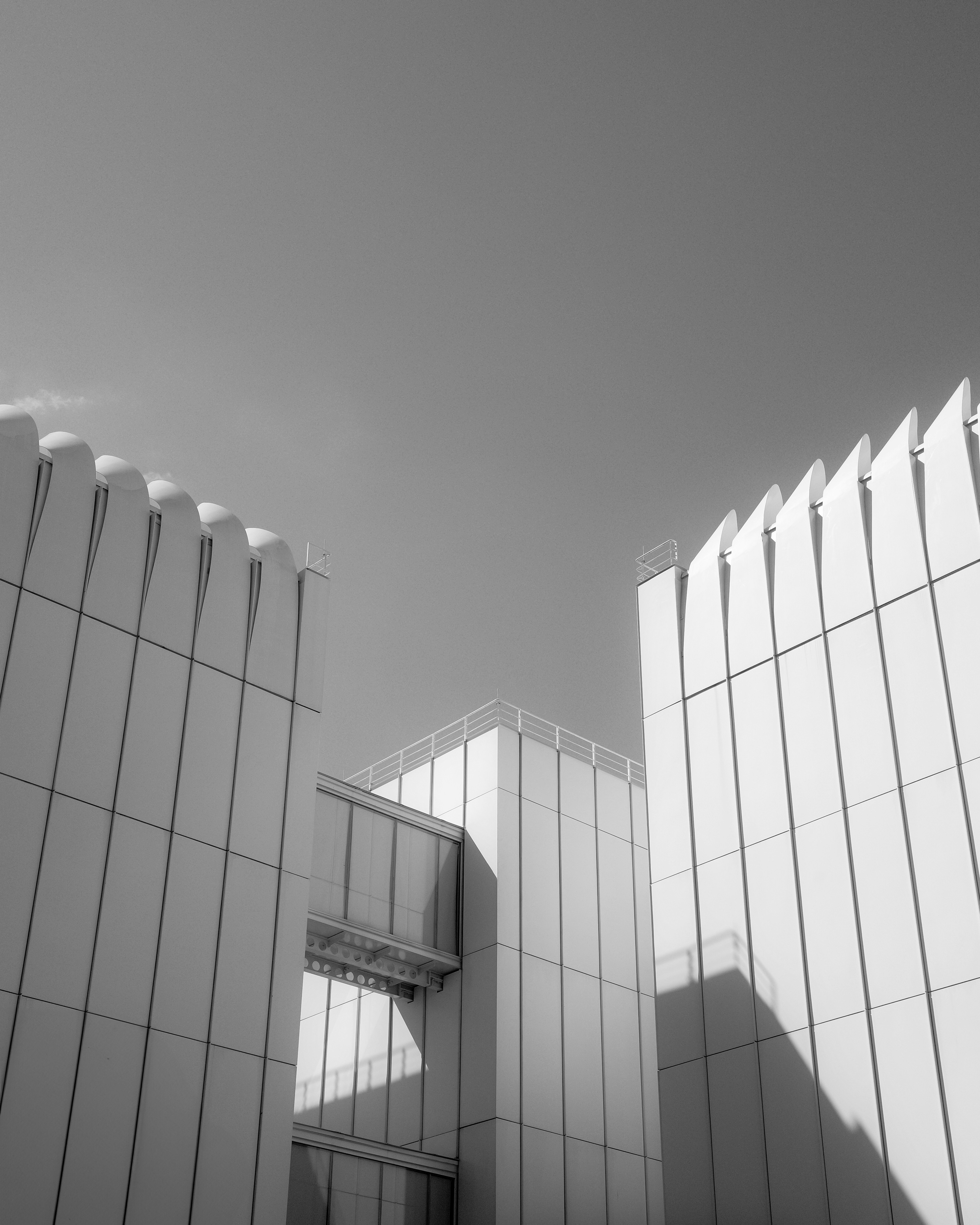 Photo by _zash_capturing