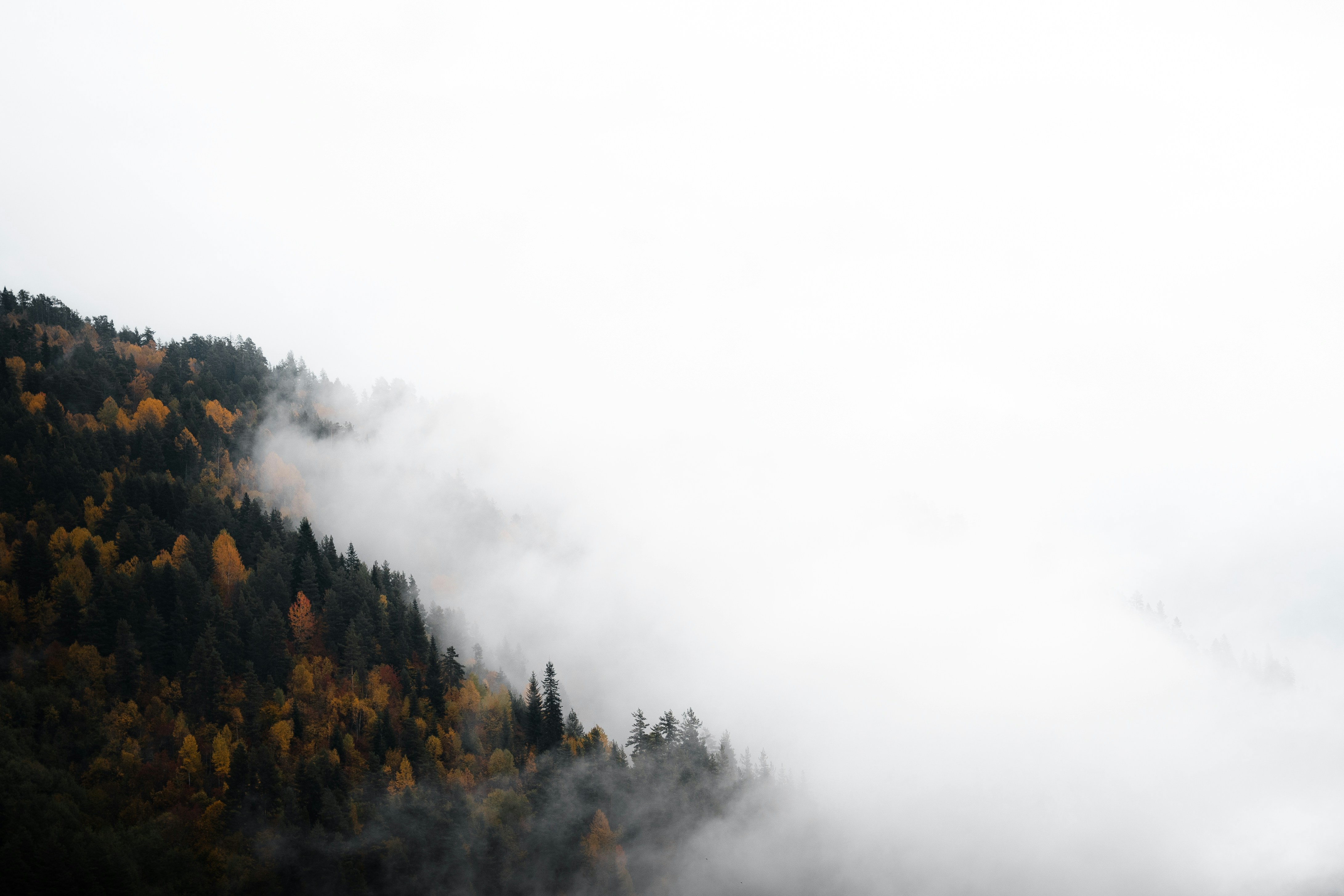 Photo by auchynnikau