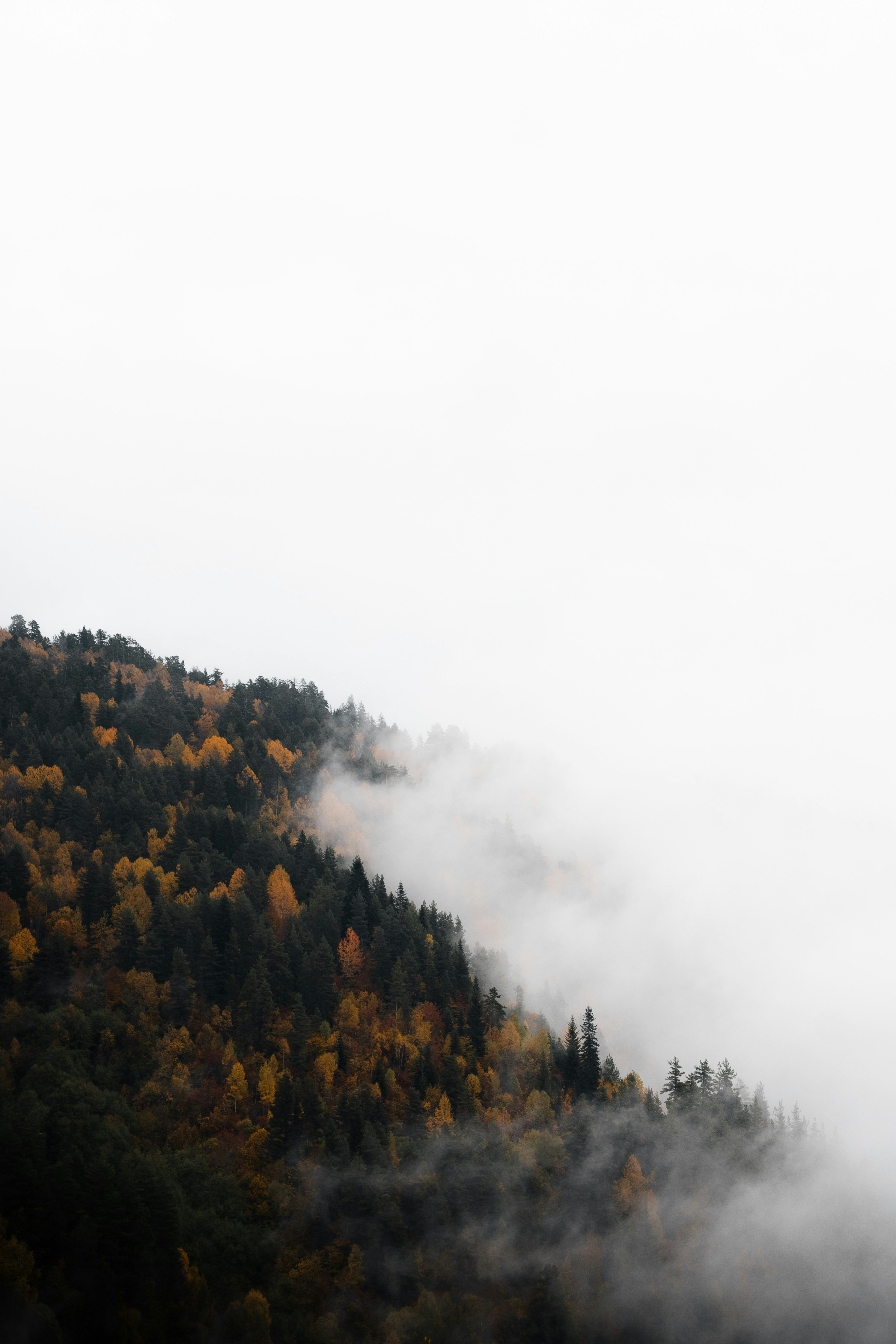 Photo by auchynnikau