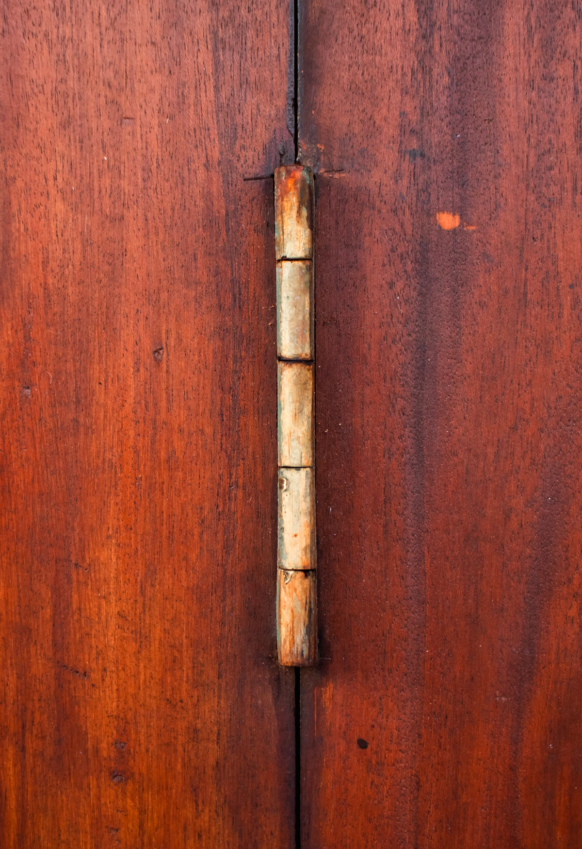 Hinge fixed to the edge of a timber door