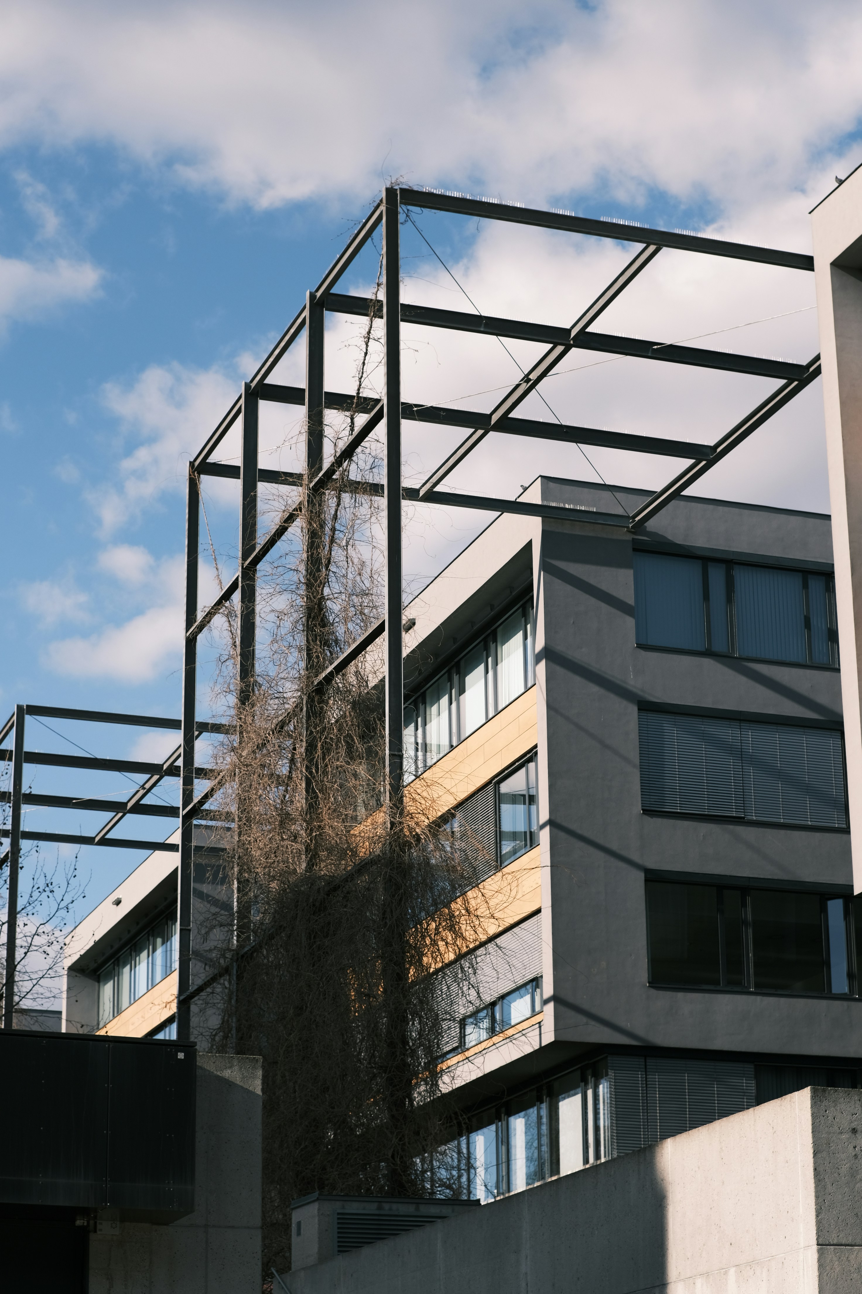 Modern building with a trellis against a cloudy sky.