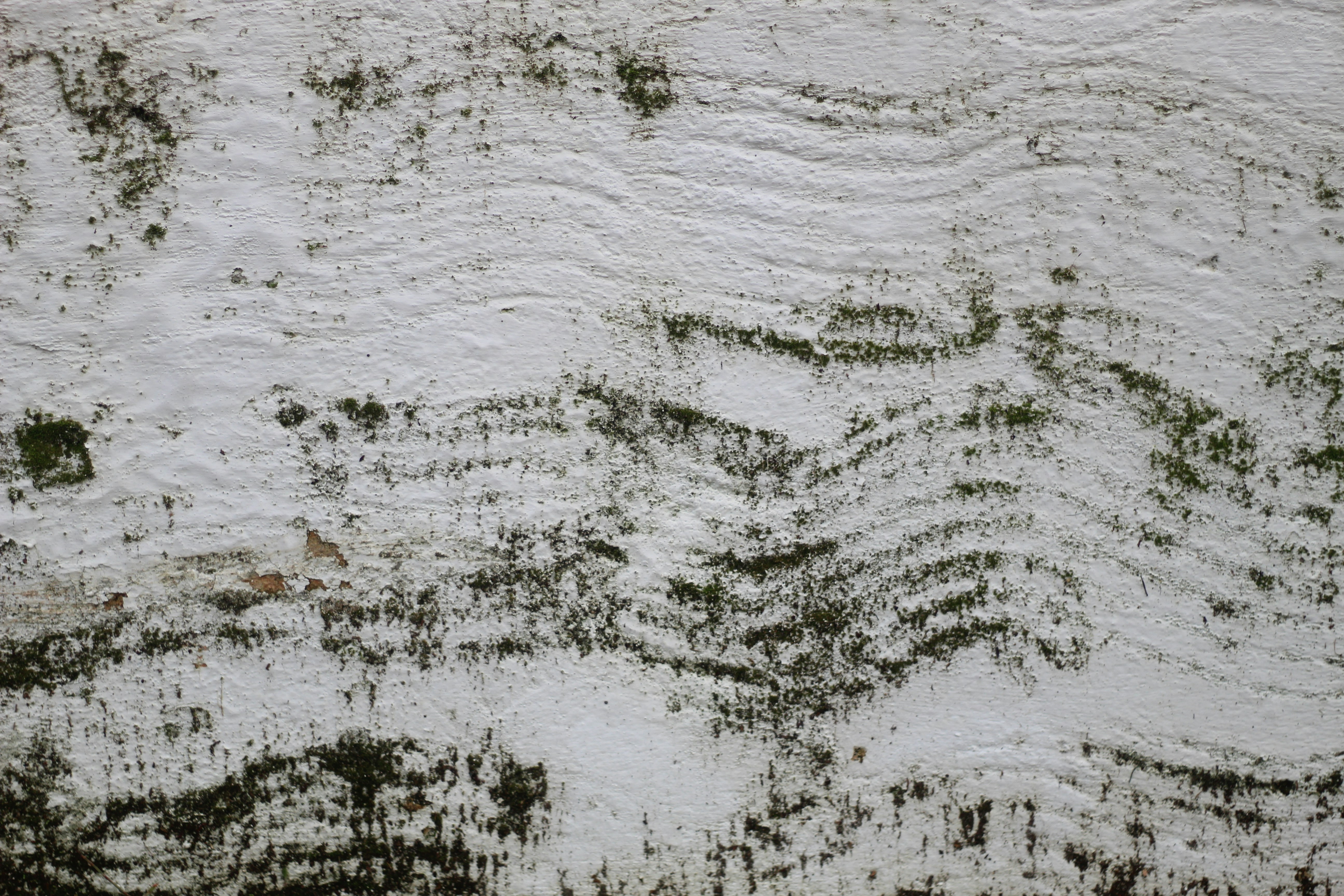 Photo by rodrigotypo