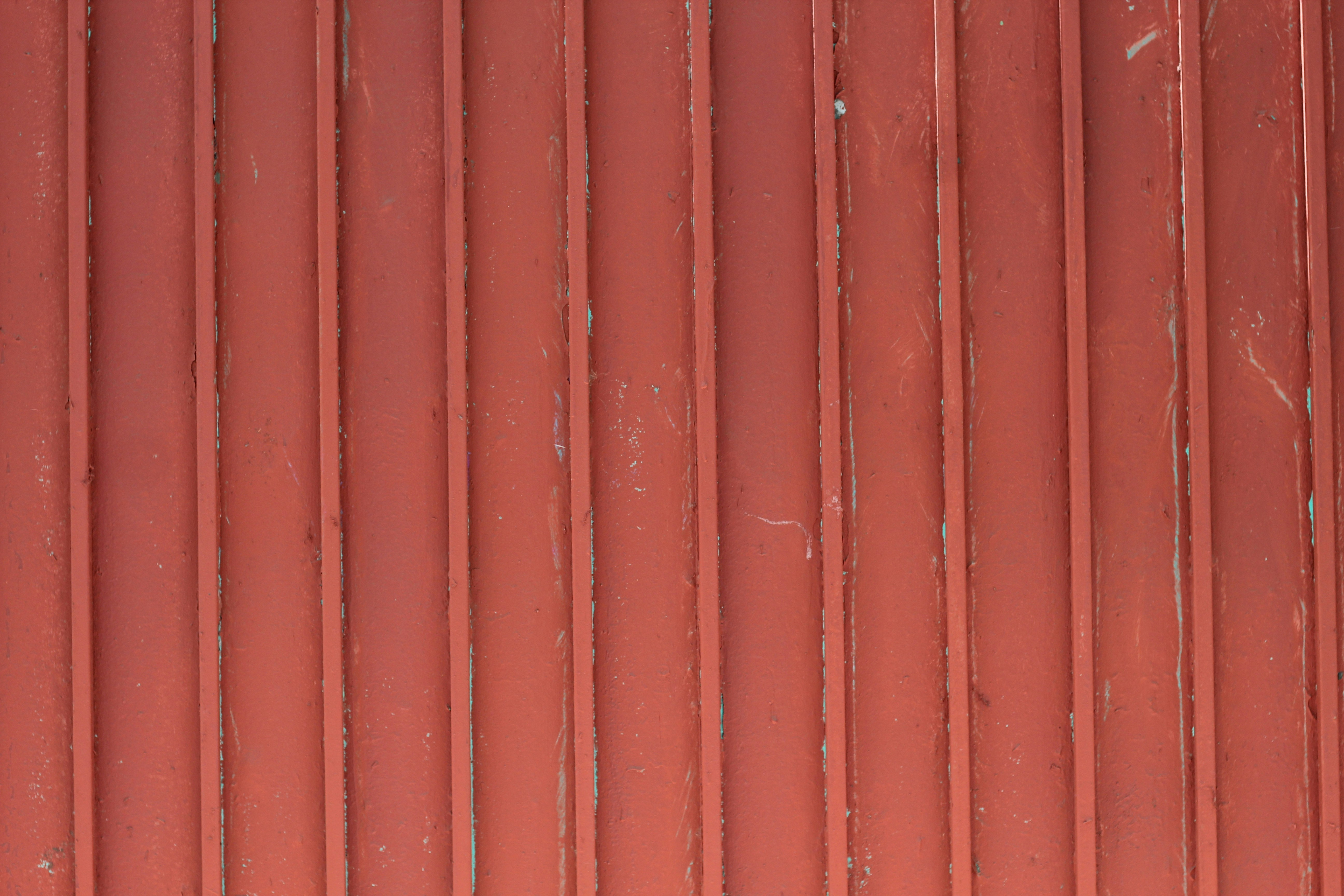 Photo by rodrigotypo