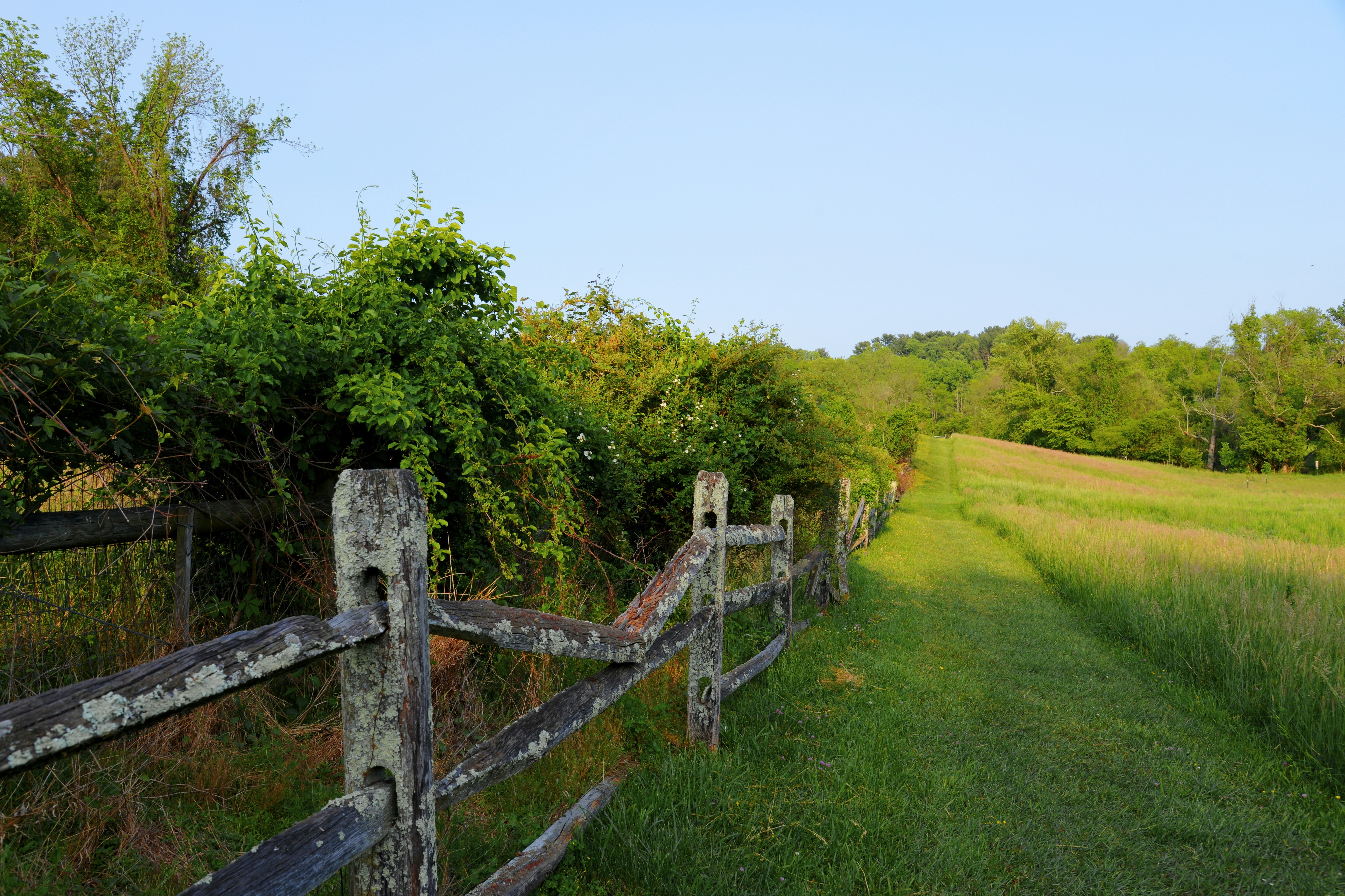 Bridgehampton Countryside