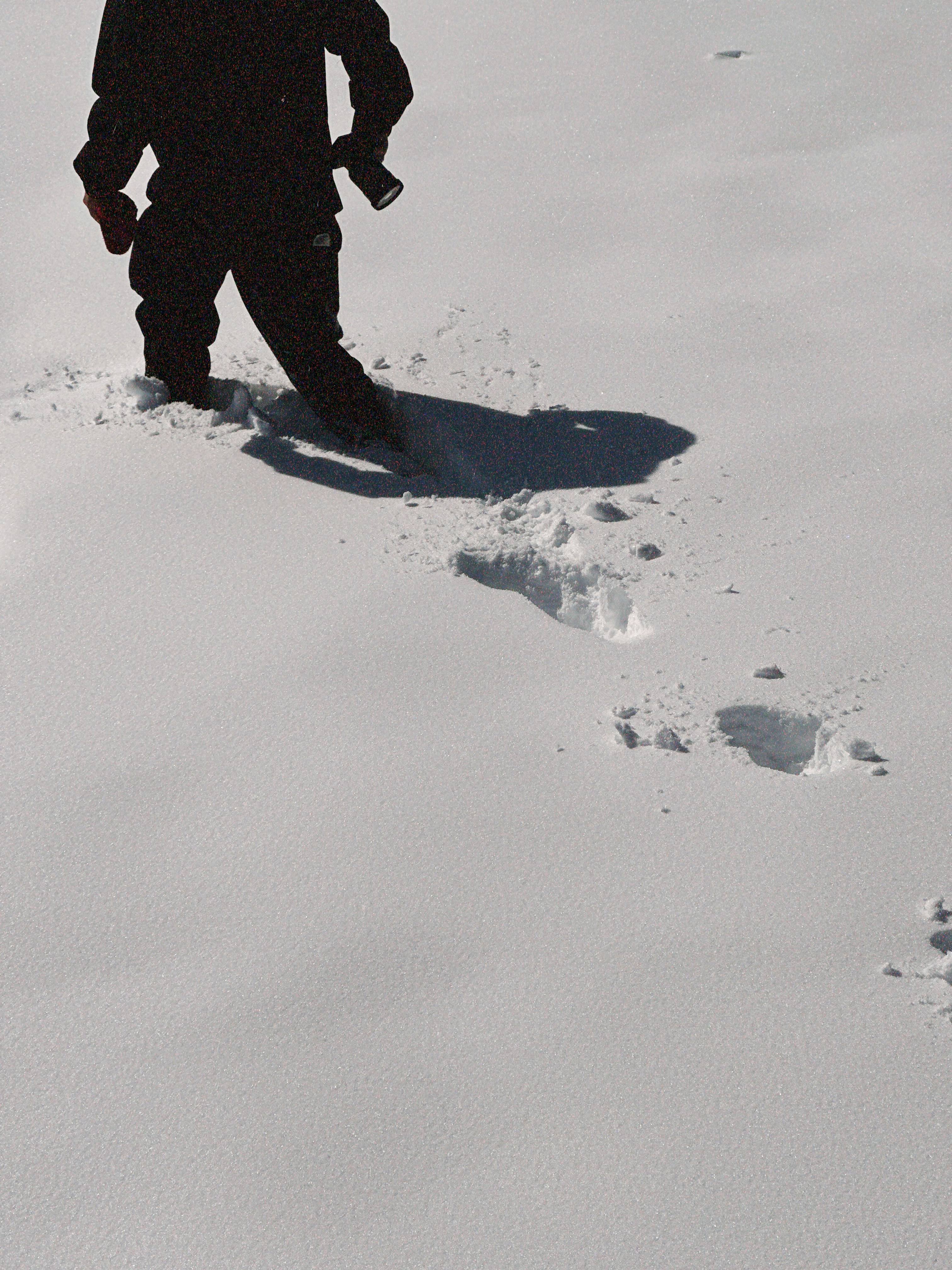 A person walks in snow, leaving footprints.
