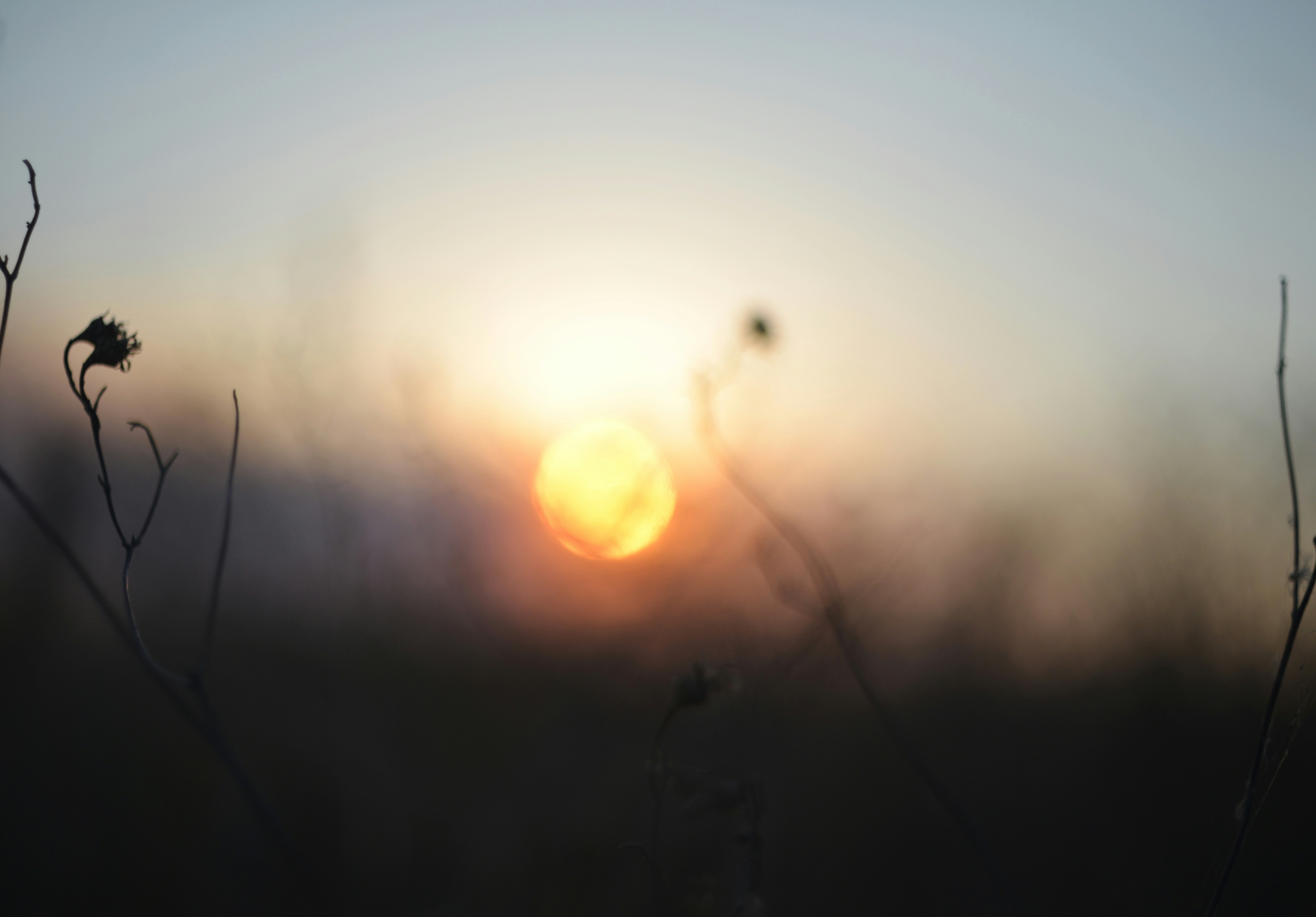 Photo by cherstve_pechivo