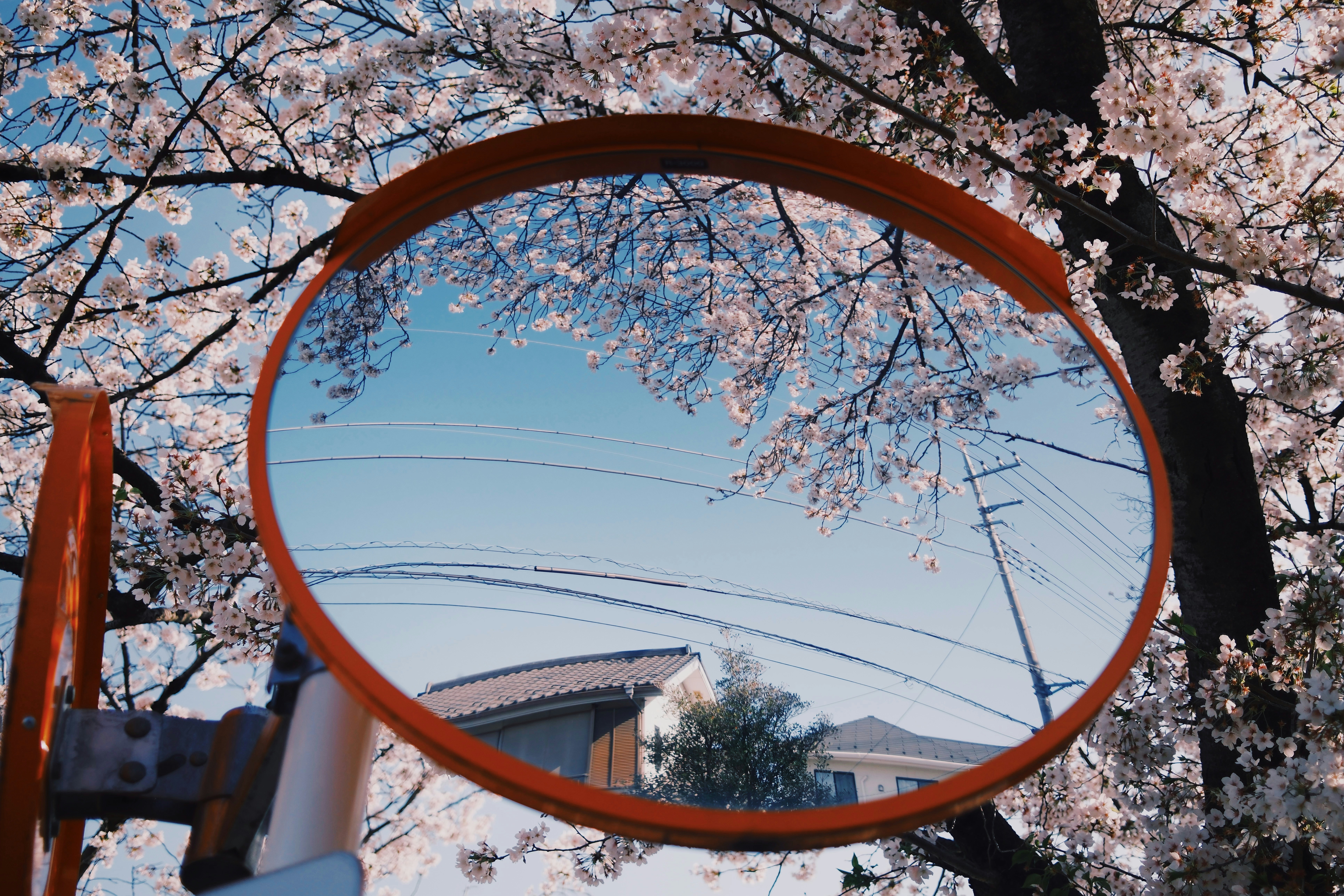 The mirror reflects cherry blossoms and sky.