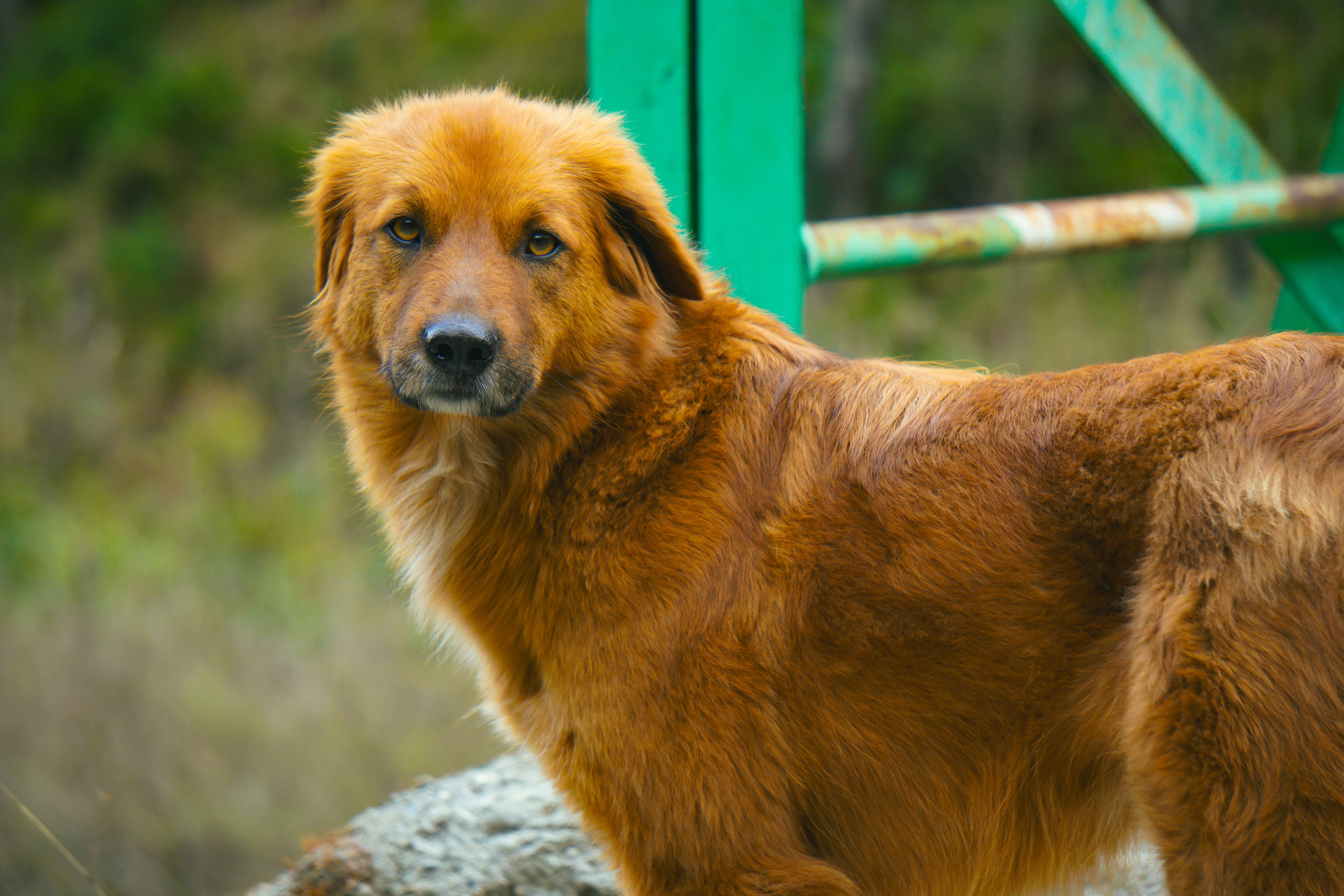 Photo by abhishekzzz