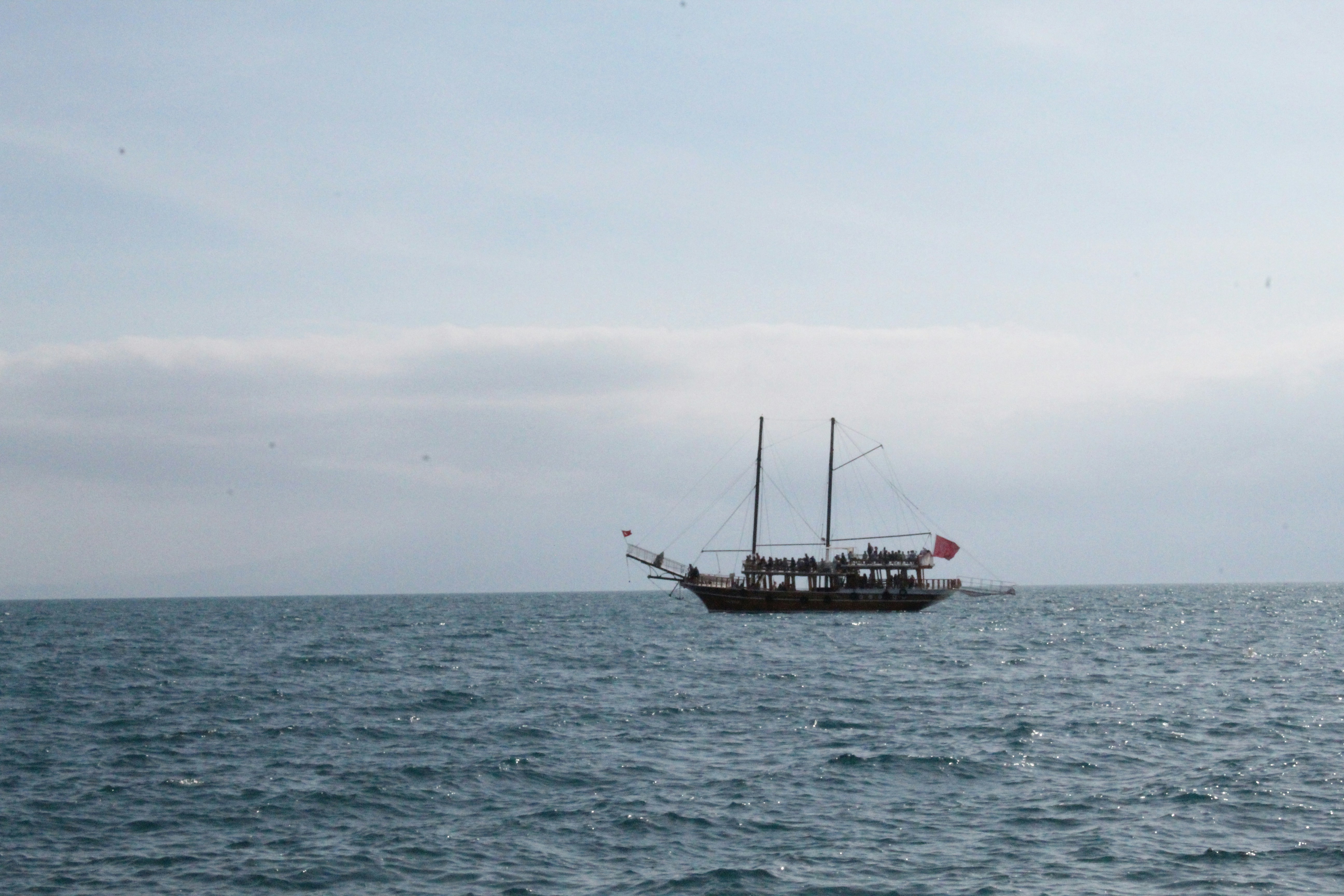 Photo by amirarsalan93