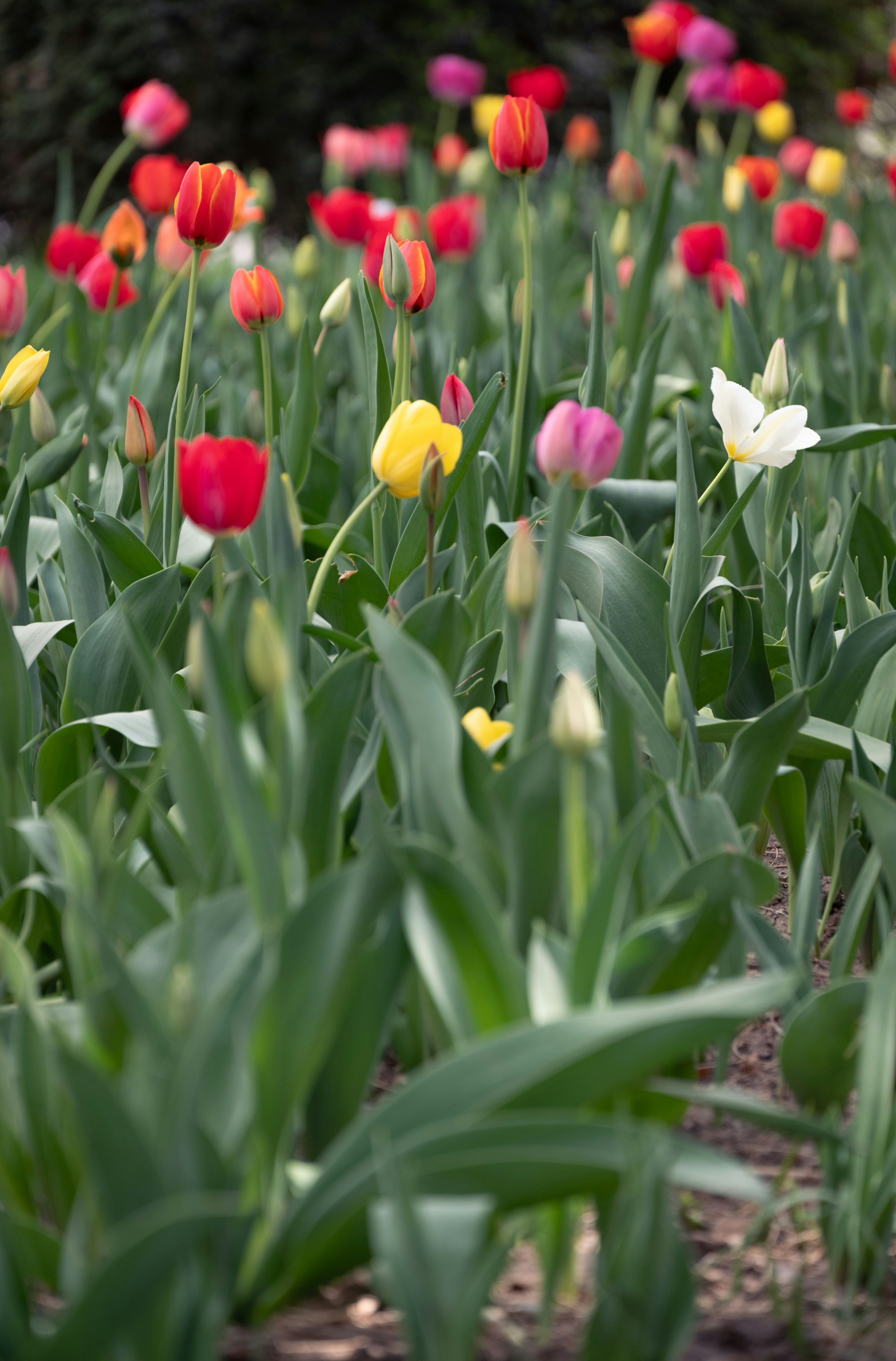 Photo by nikol_royce