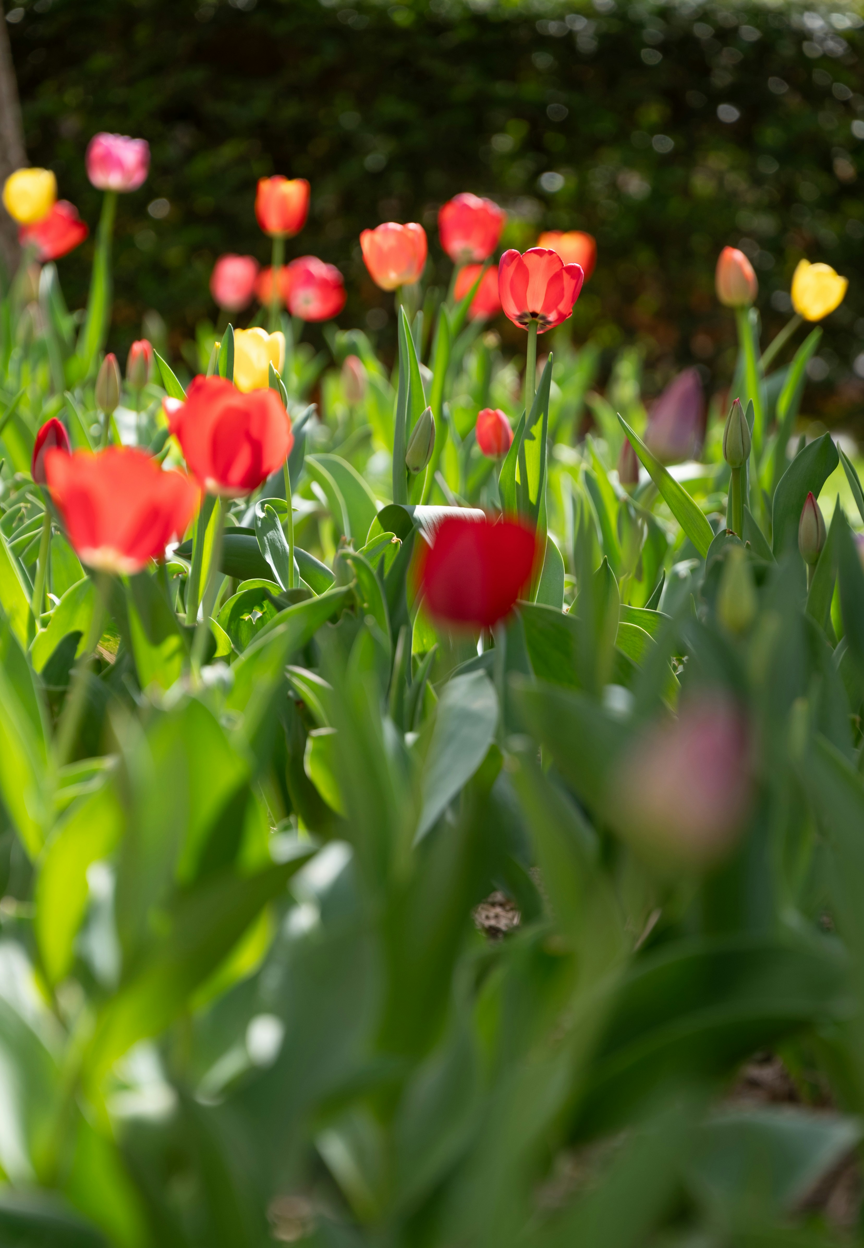 Photo by nikol_royce