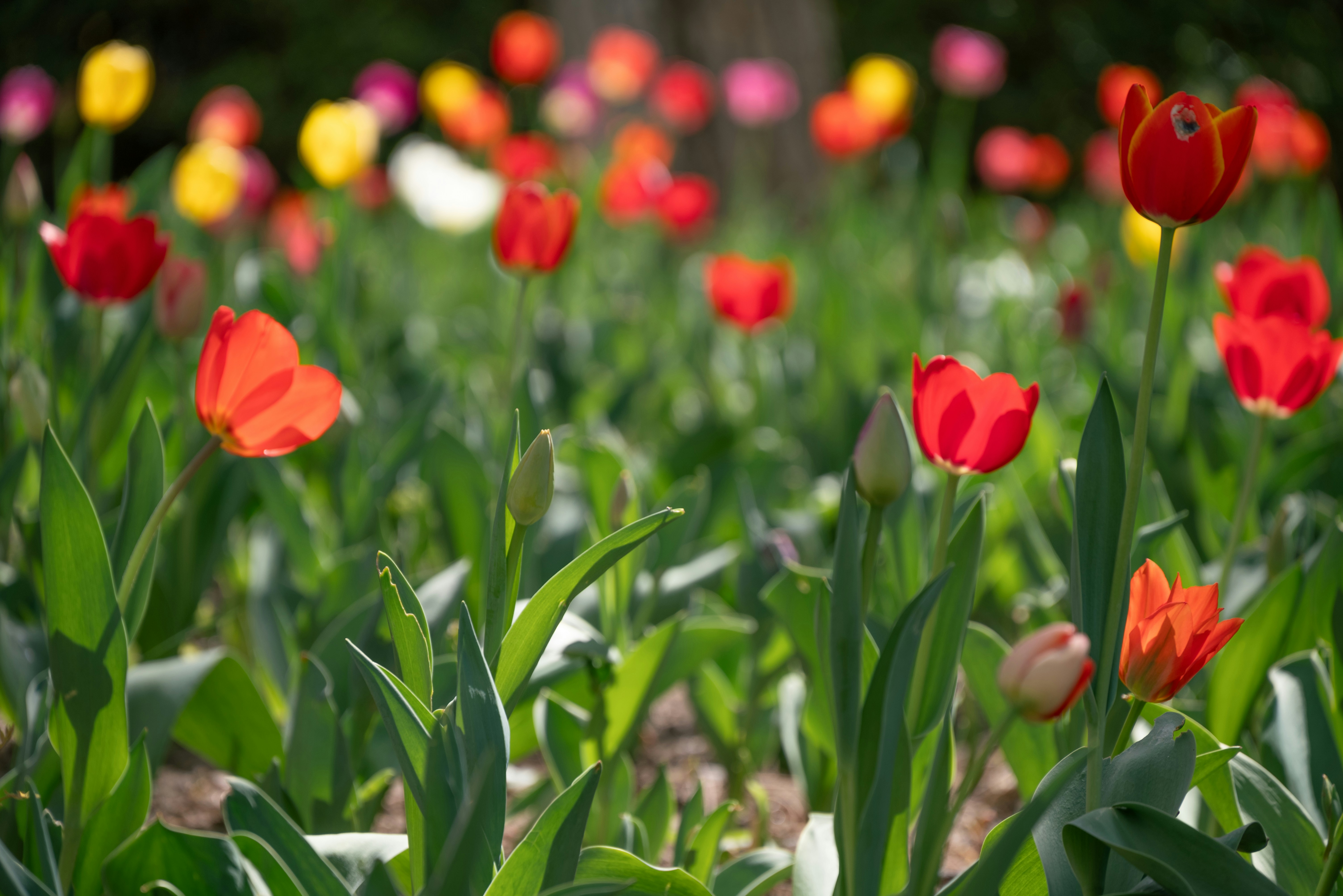 Photo by nikol_royce